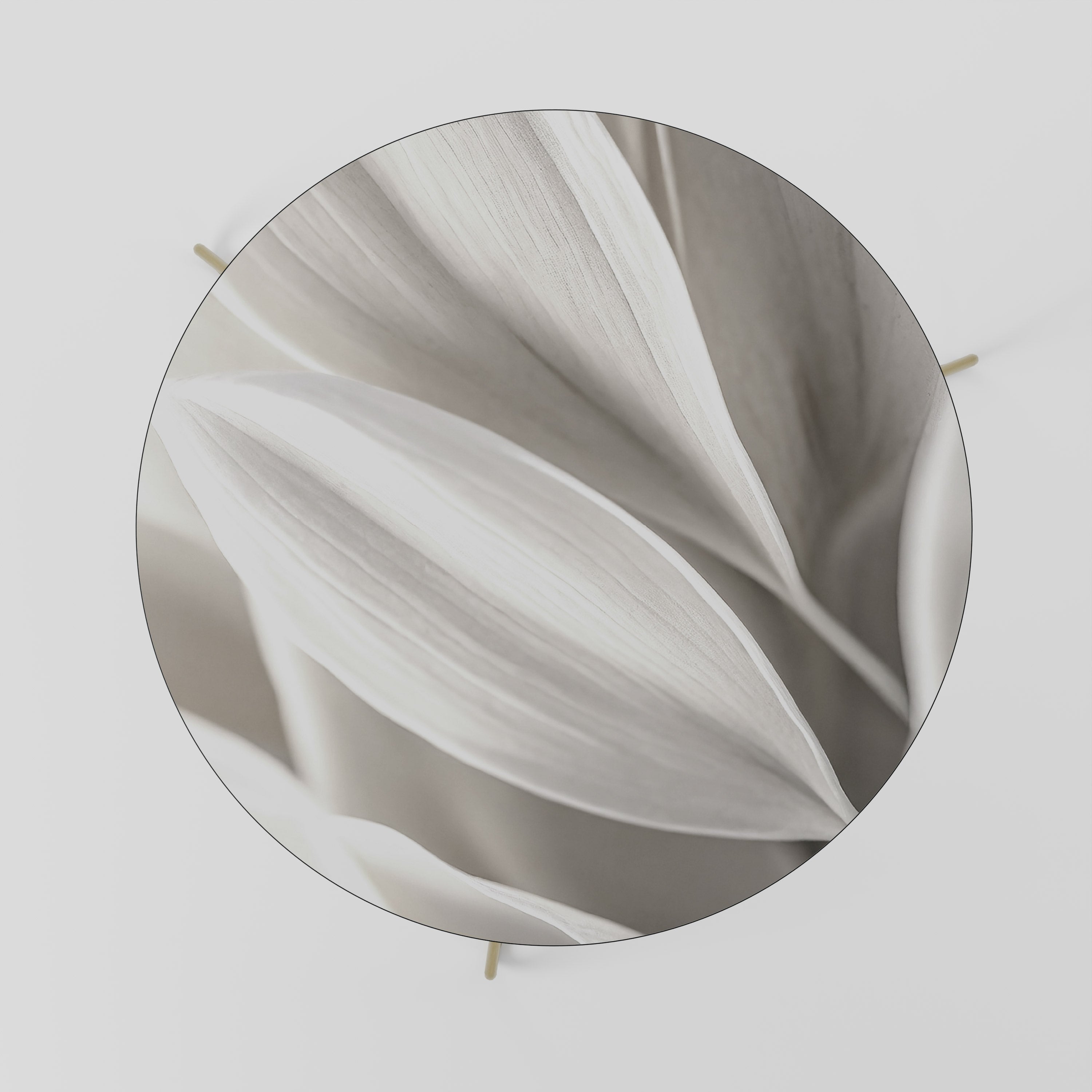 Table basse WHISPERS OF WHITE 69