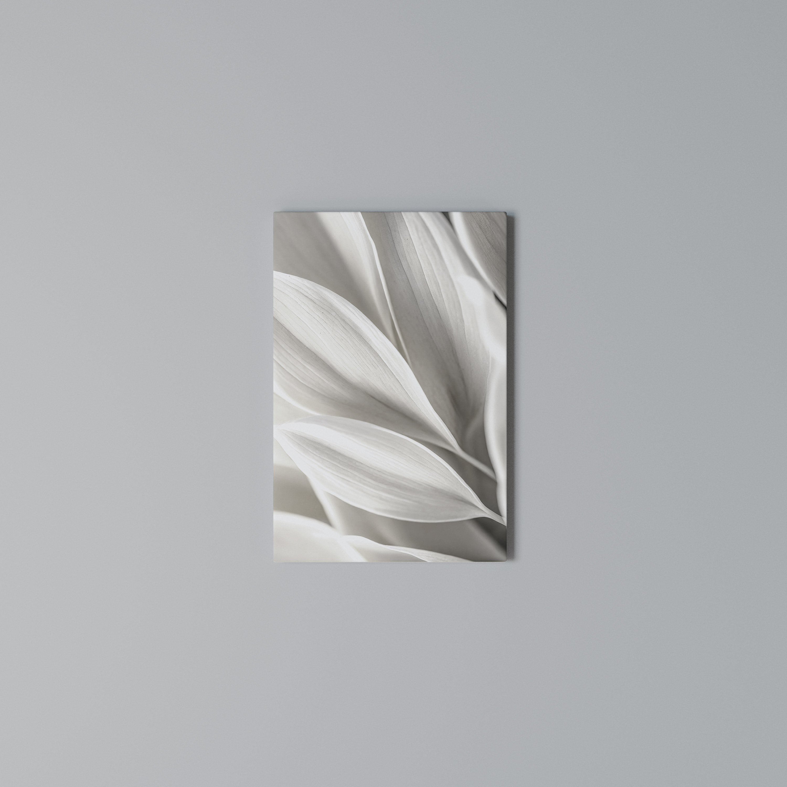 WHISPERS OF WHITE Vertical Canvas Print