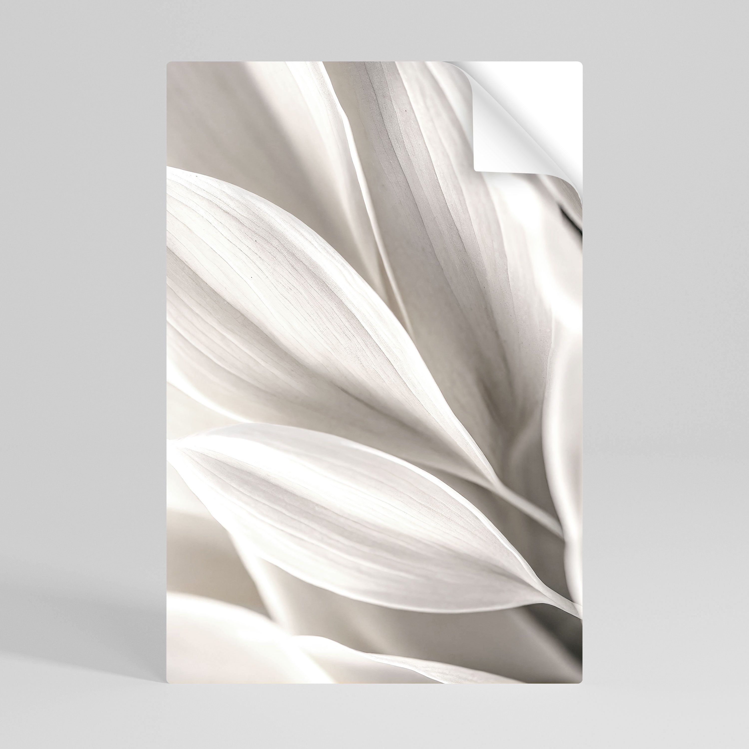 Affiche verticale autocollante « Whispers of White »