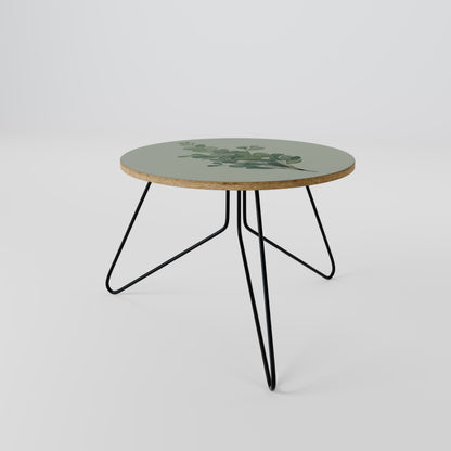 EUCALYPTUS TWIG Coffee Table