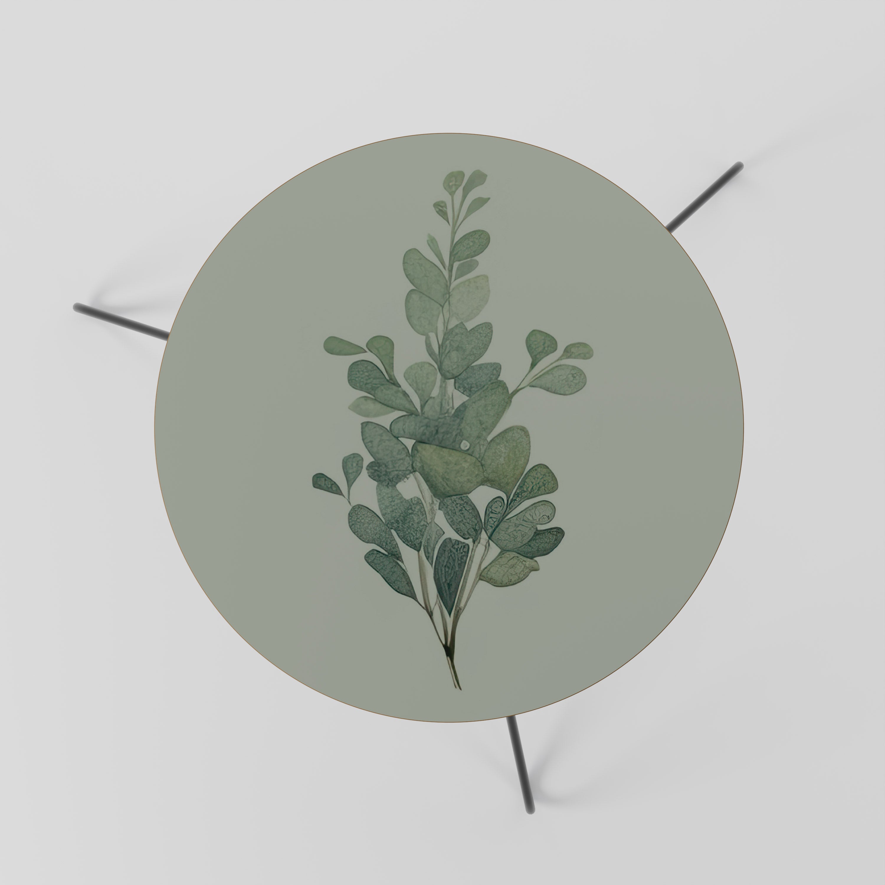 Table basse EUCALYPTUS TWIG 60