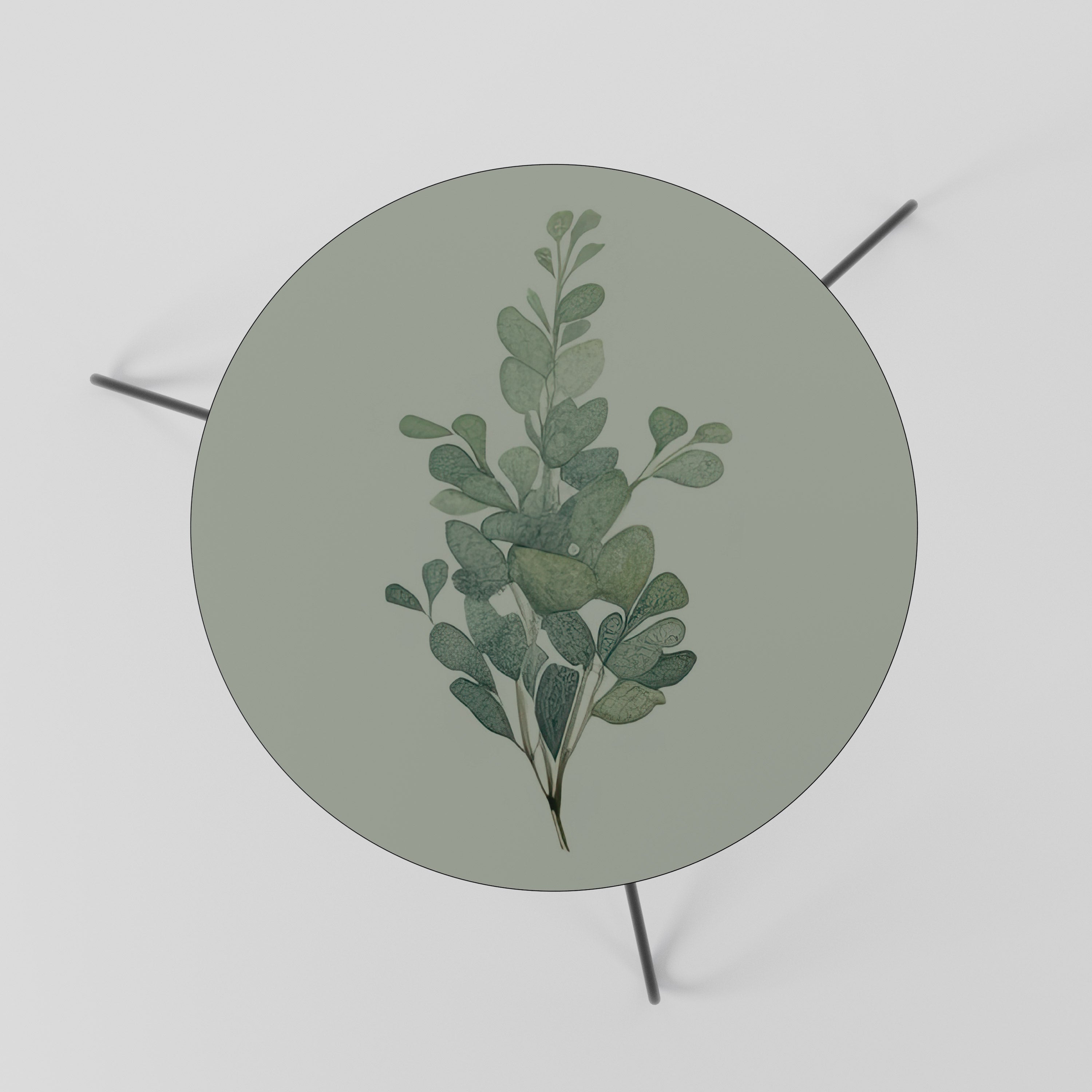 Table basse EUCALYPTUS TWIG 60