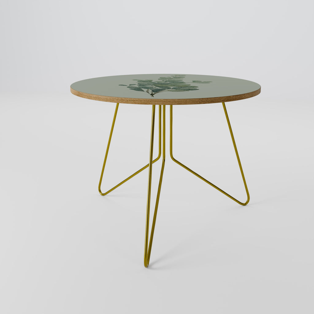 Table basse EUCALYPTUS TWIG 69