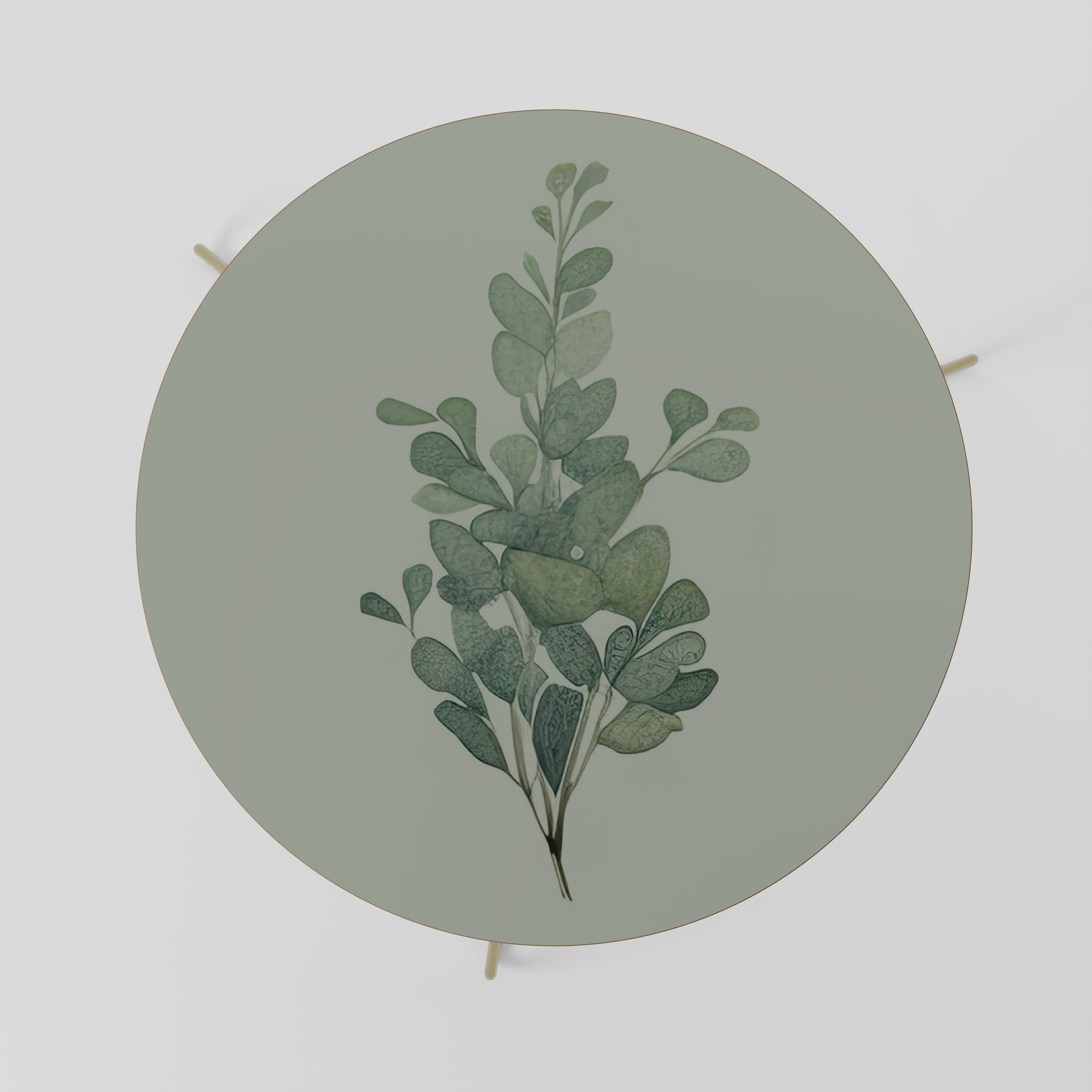 Table basse EUCALYPTUS TWIG 69