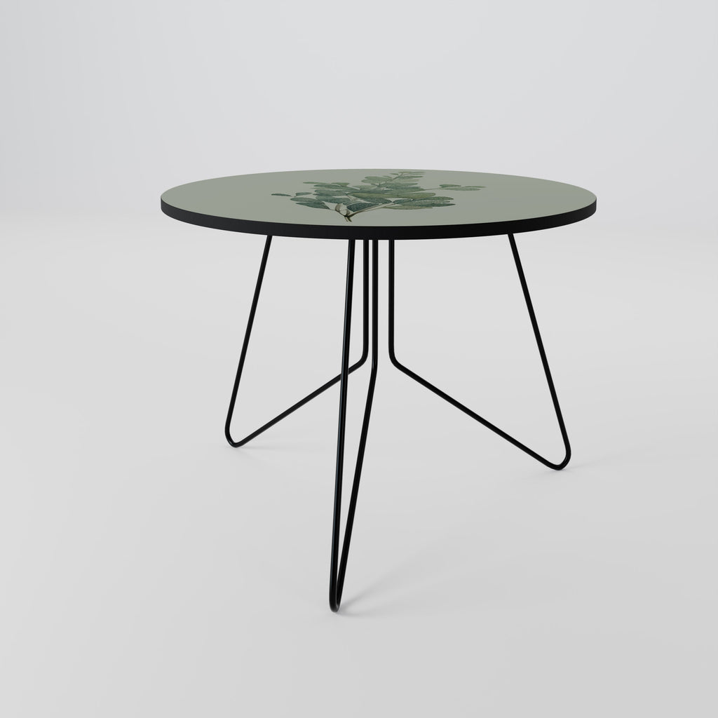 Table basse EUCALYPTUS TWIG 69