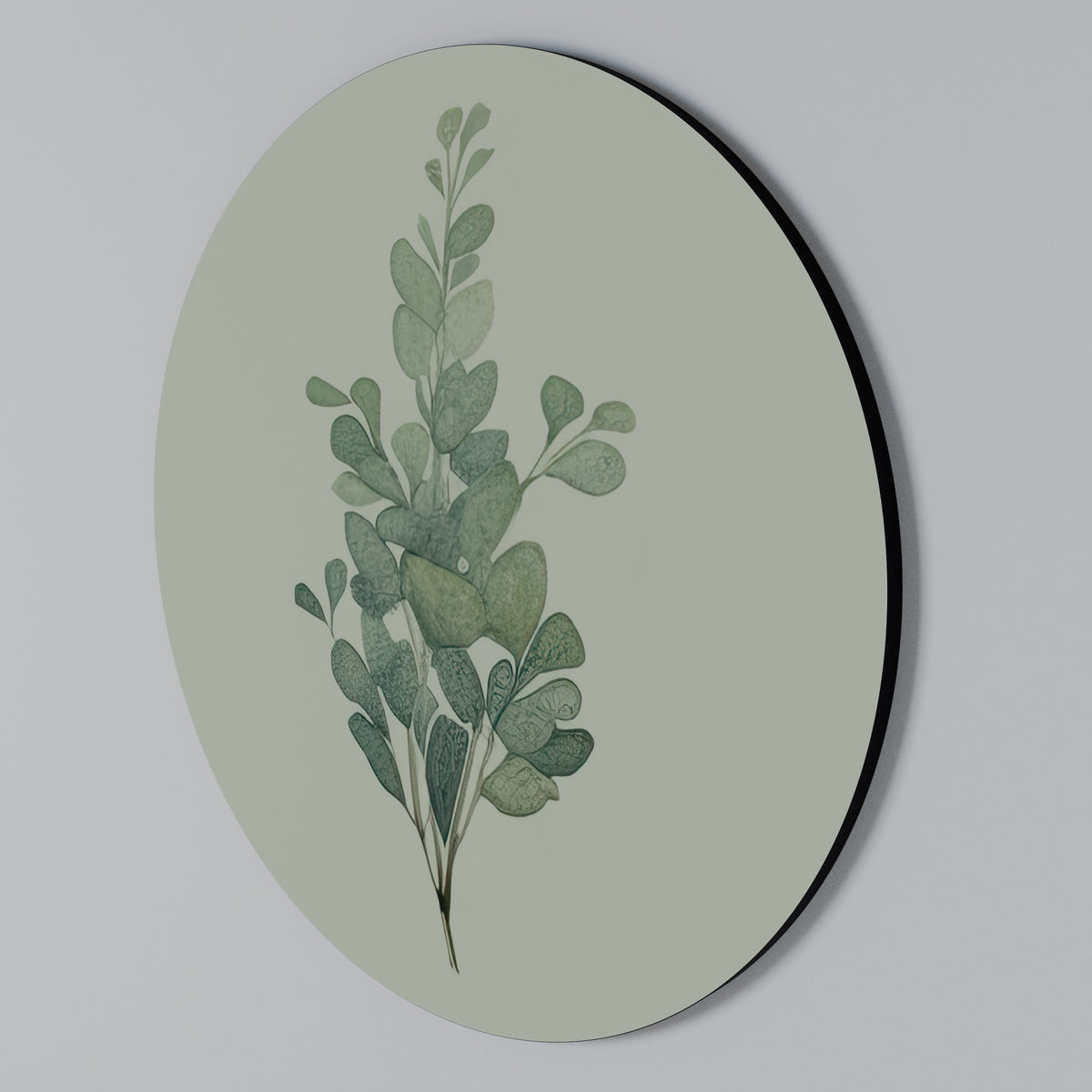 EUCALYPTUS TWIG Round Wall Art