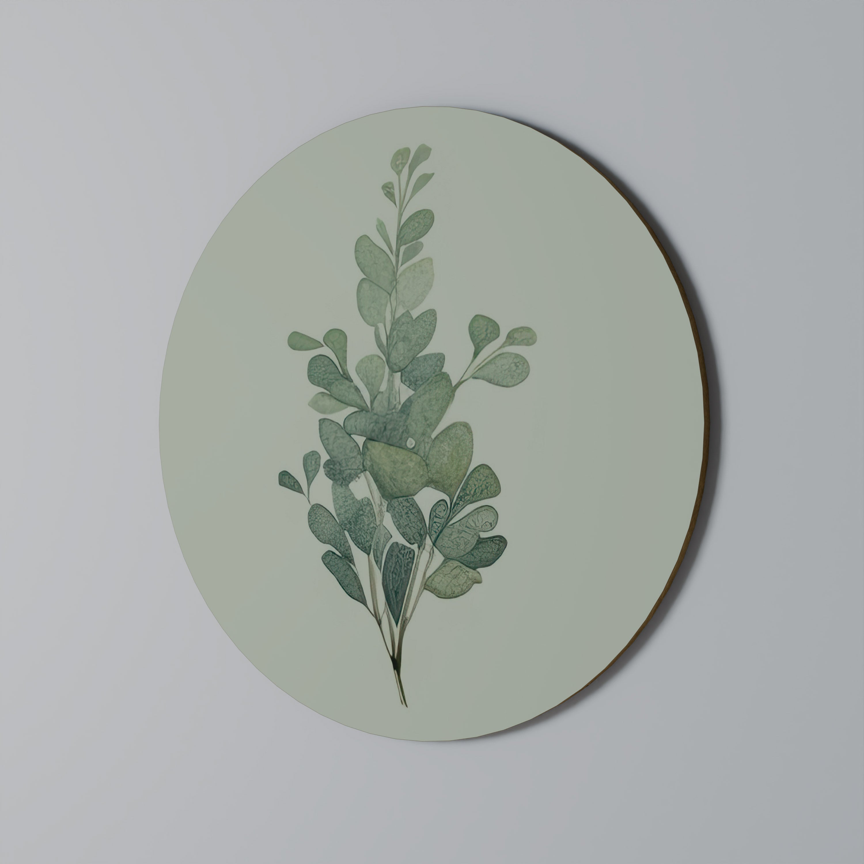 Décoration murale ronde en brindille d'eucalyptus