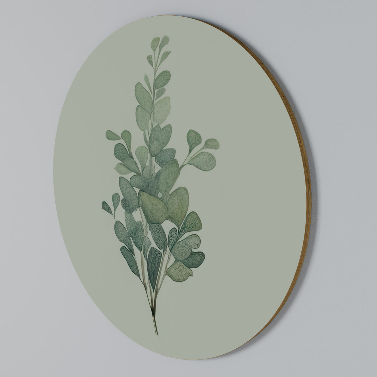 EUCALYPTUS TWIG Round Wall Art