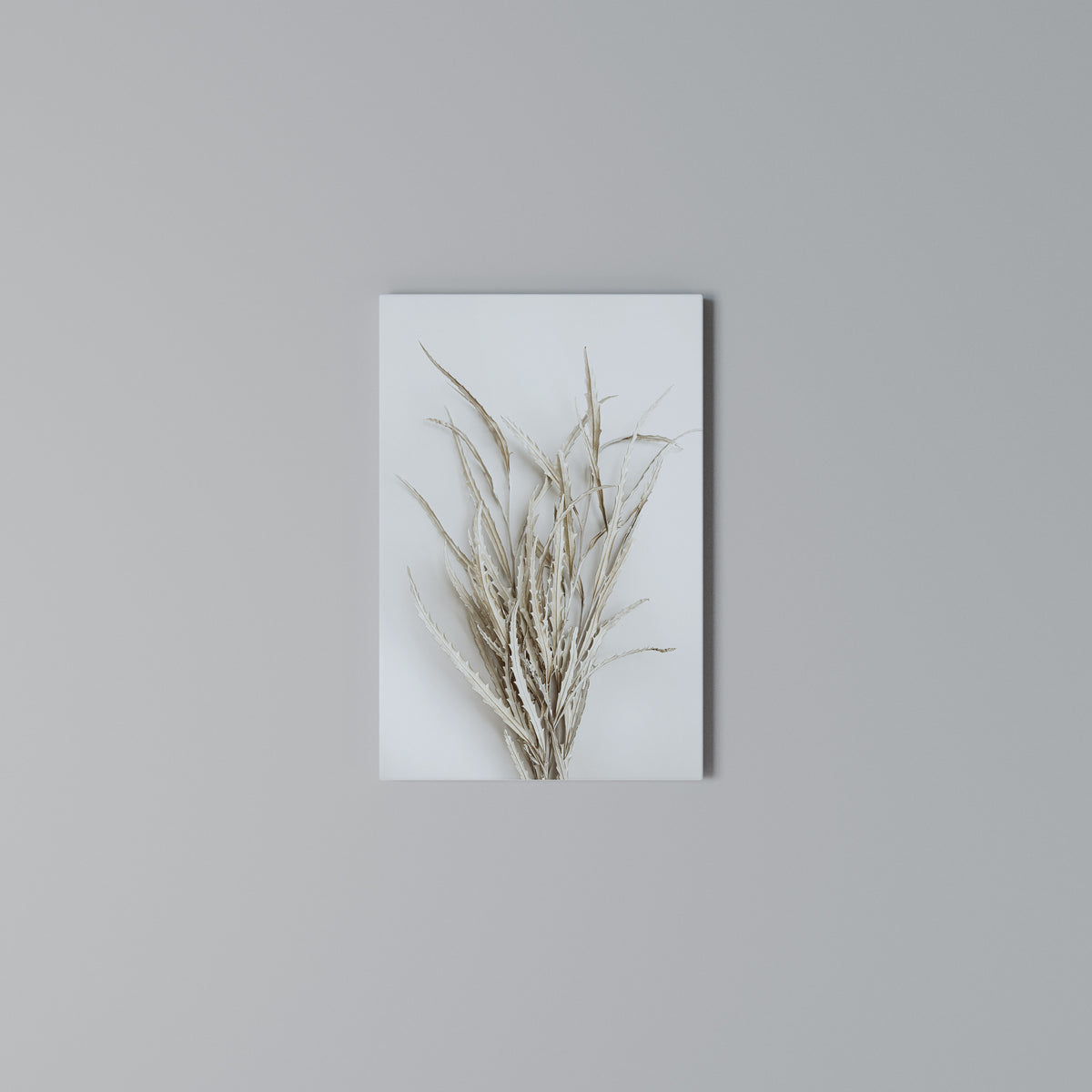 DRIED DREAMS DISPLAY Vertical Canvas Print