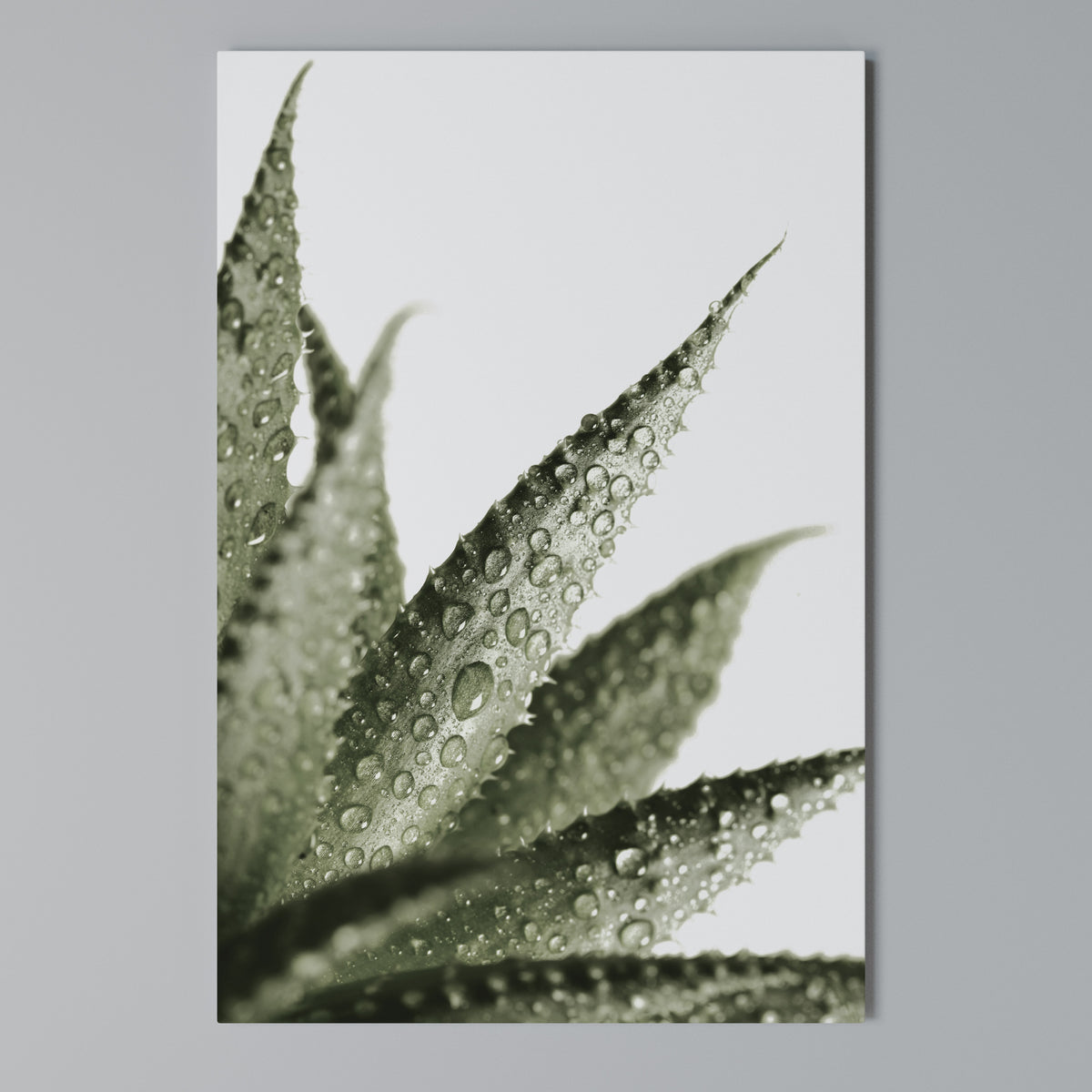 DEWDROP SYMPHONY Vertical Canvas Print