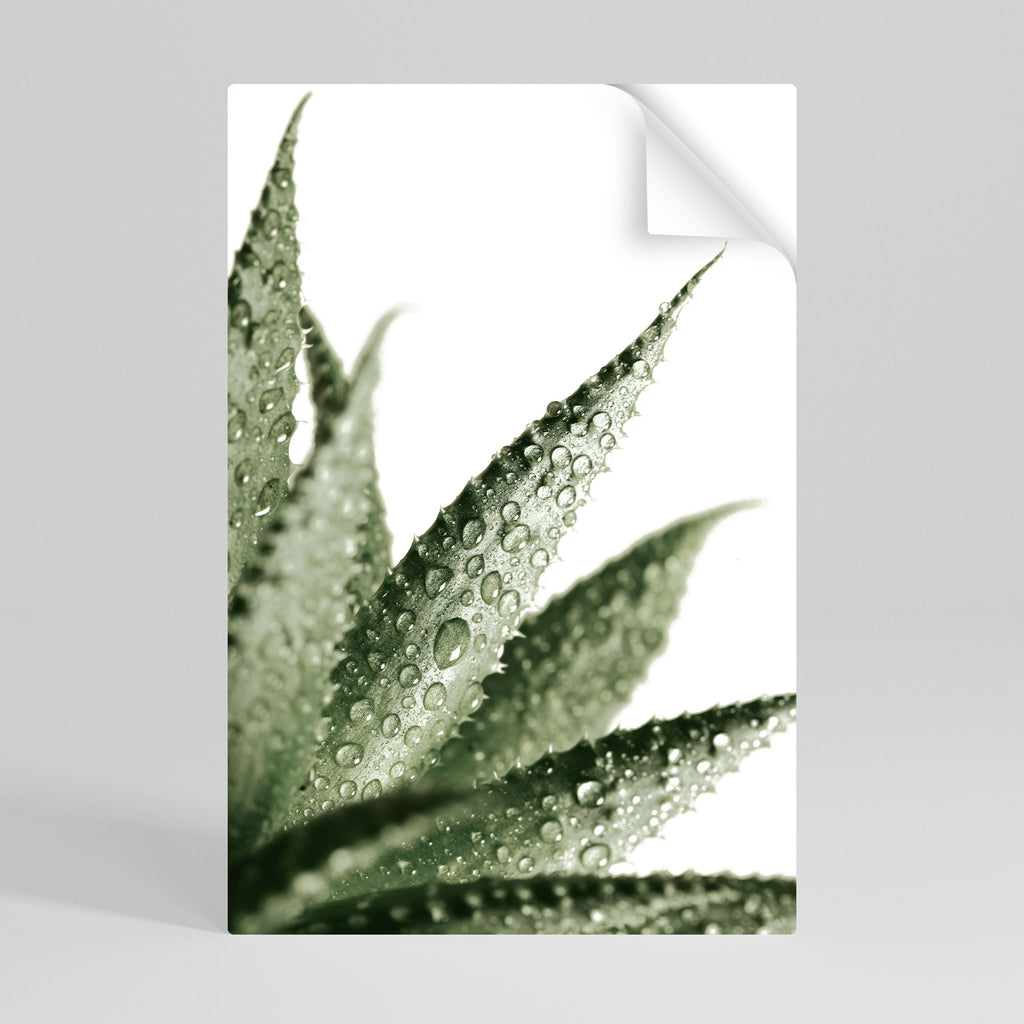 Affiche verticale autocollante DEWDROP SYMPHONY