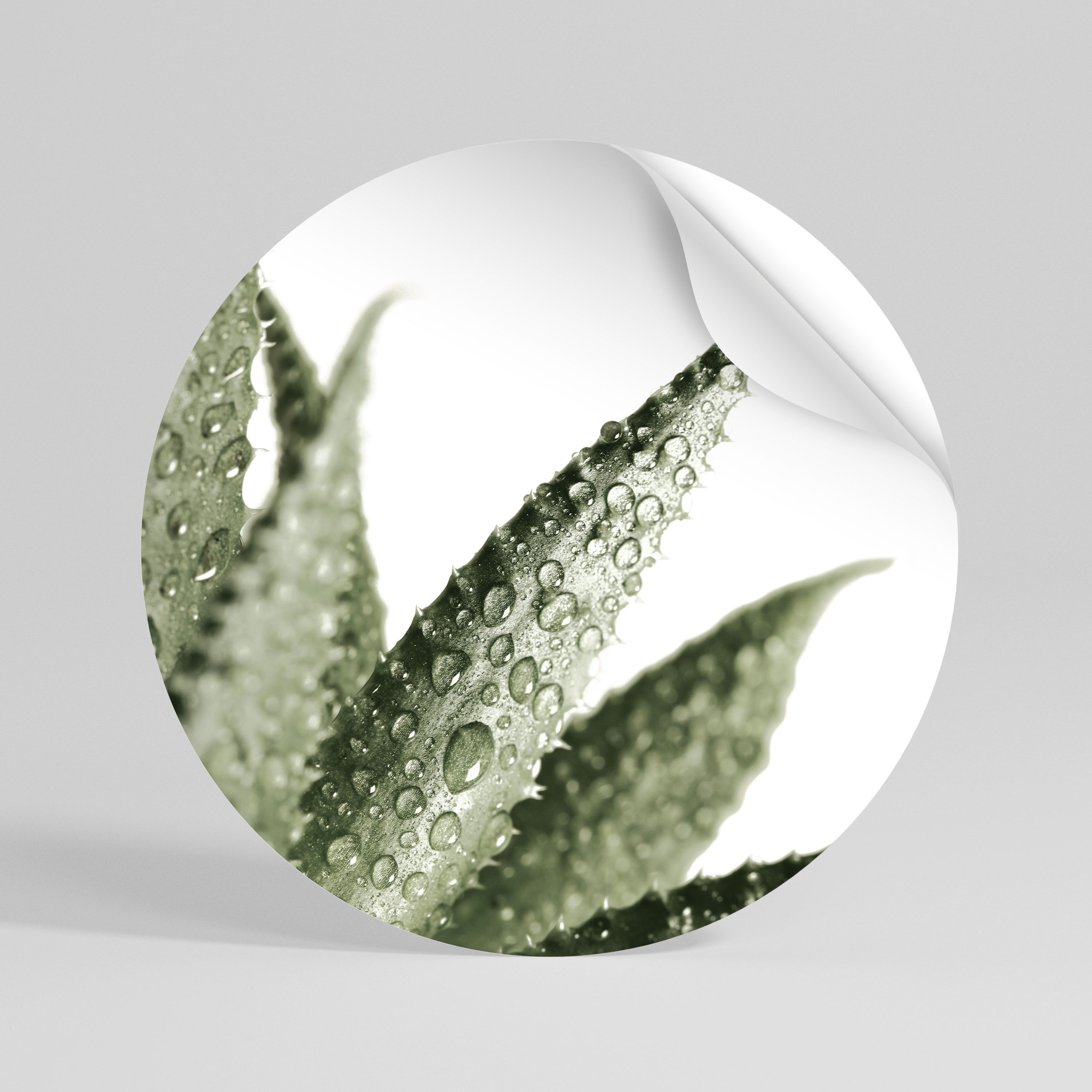 DEWDROP SYMPHONY Peel and Stick Round Sticker