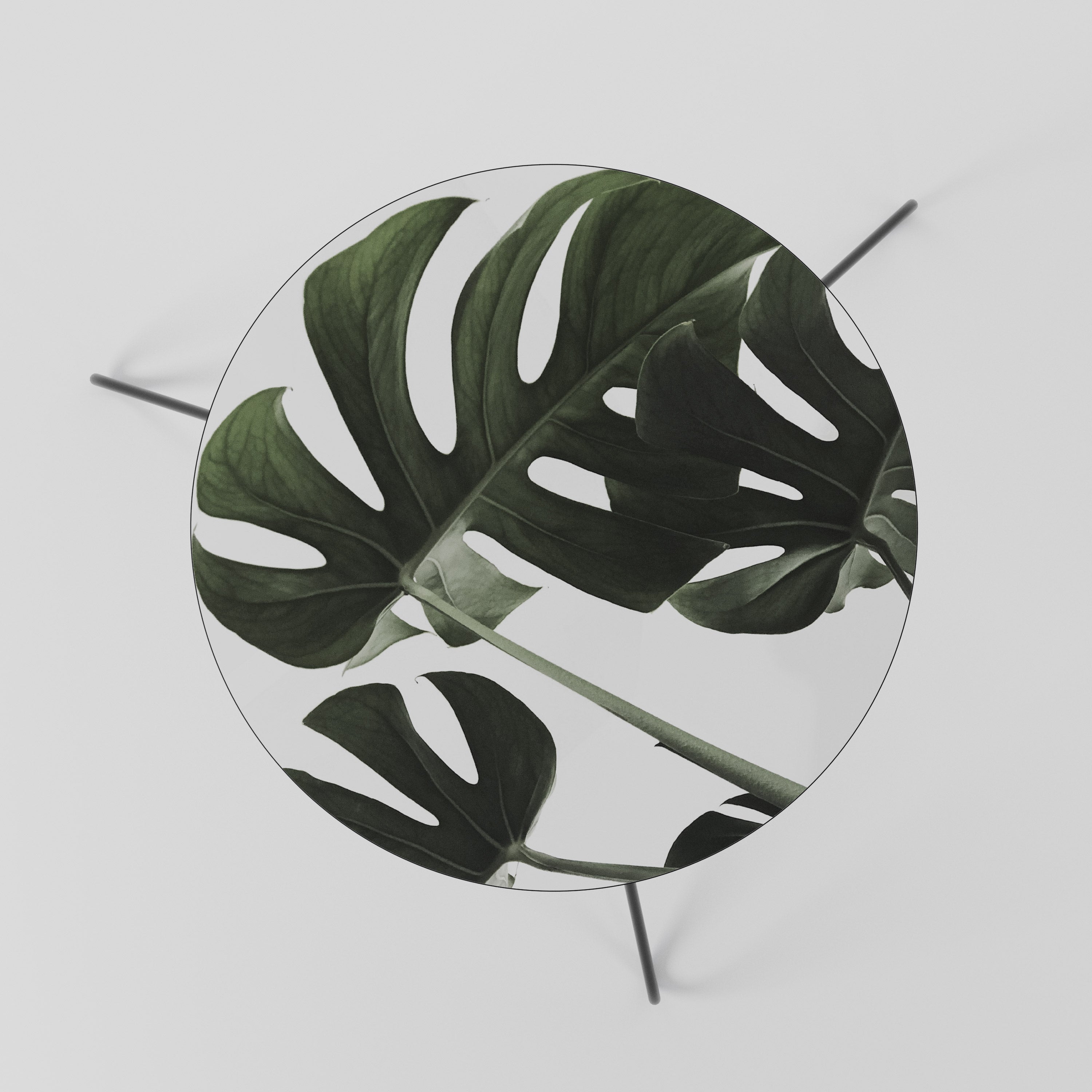 Table basse FOLIAGE FUSION 60