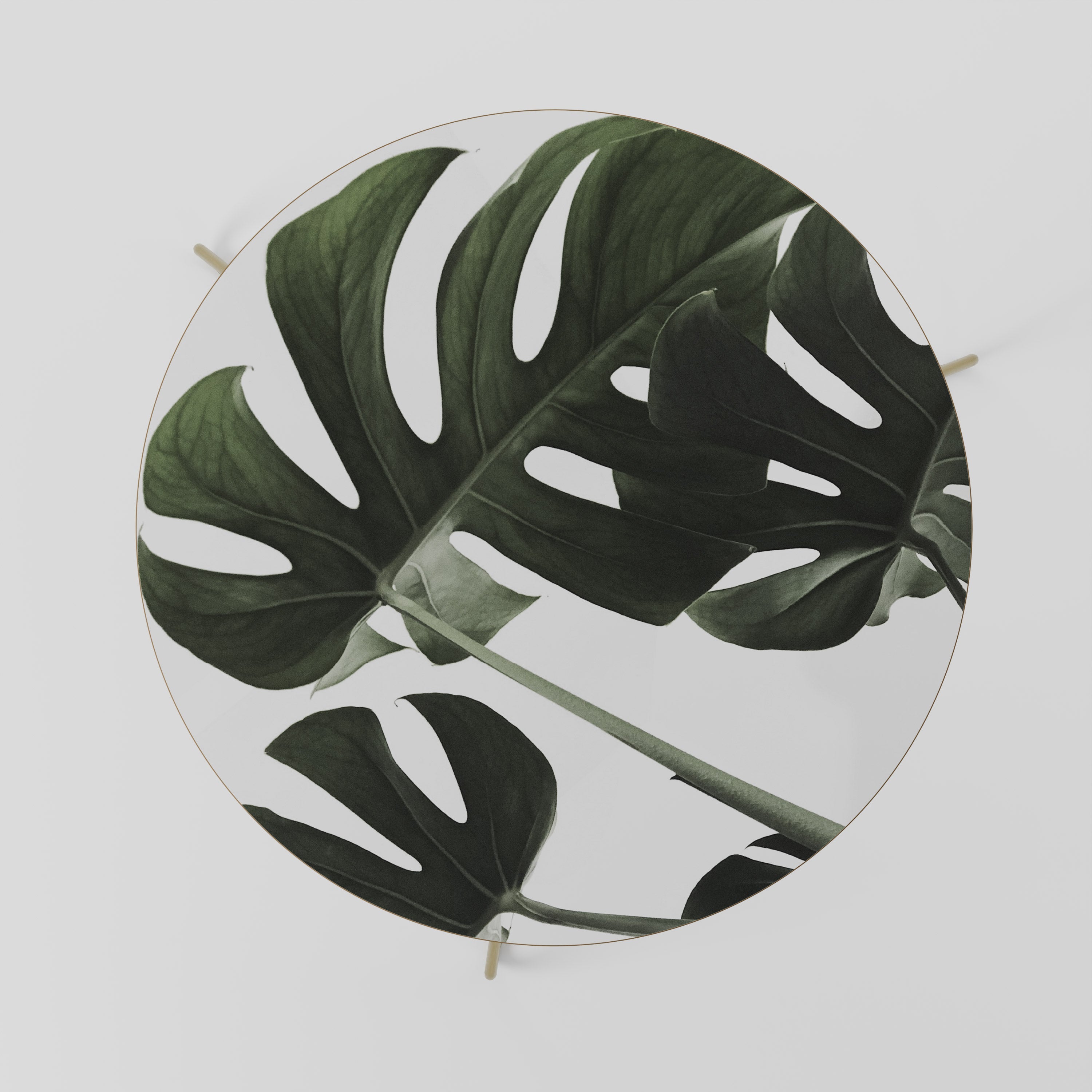Table basse FOLIAGE FUSION 69