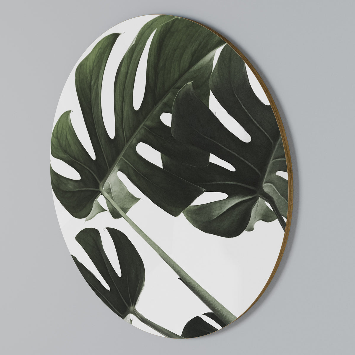 FOLIAGE FUSION Round Wall Art