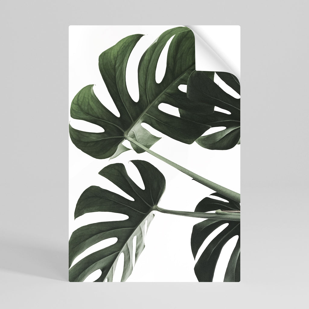 Affiche verticale autocollante FOLIAGE FUSION