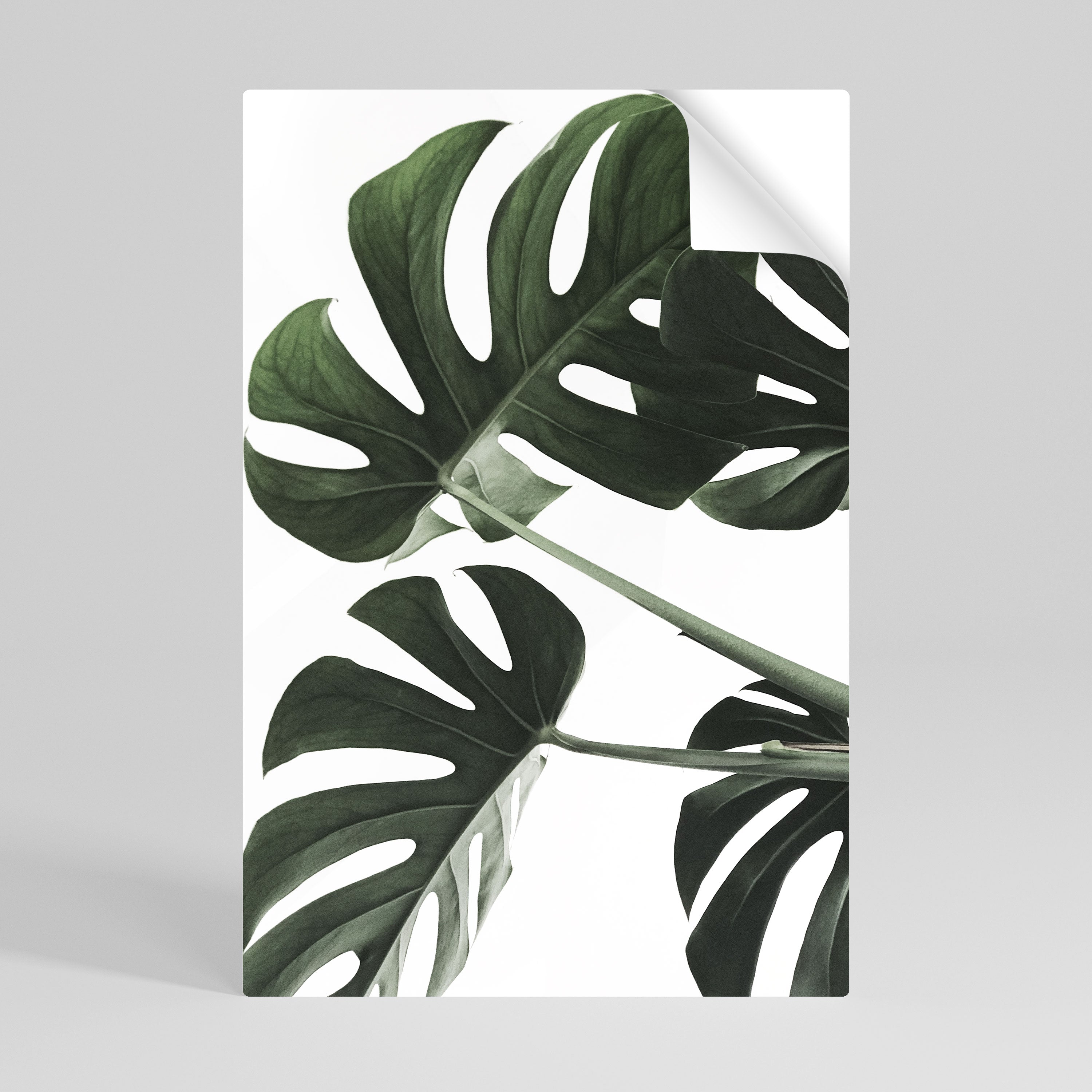 Affiche verticale autocollante FOLIAGE FUSION