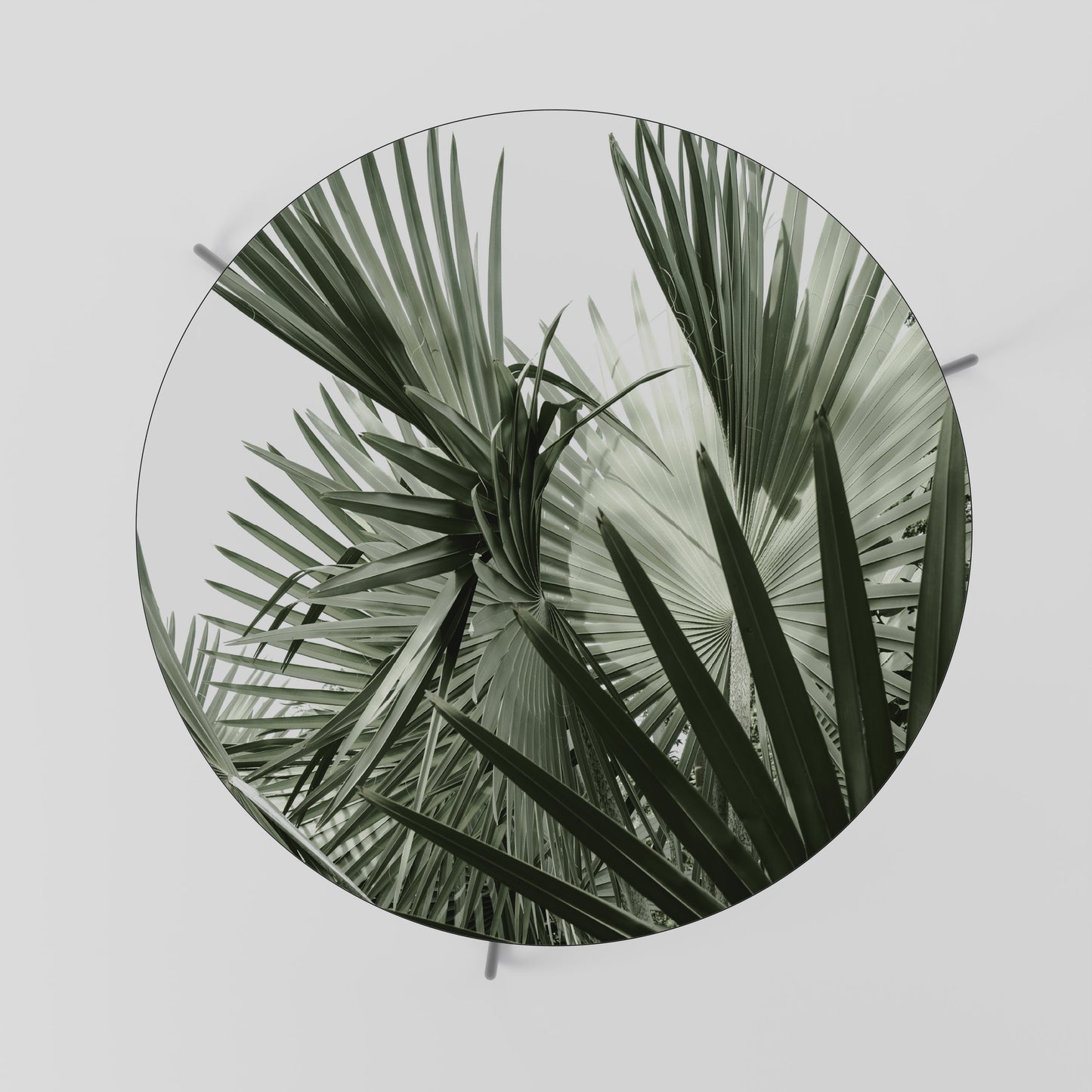 PALM PARADISE DANCE Coffee Table