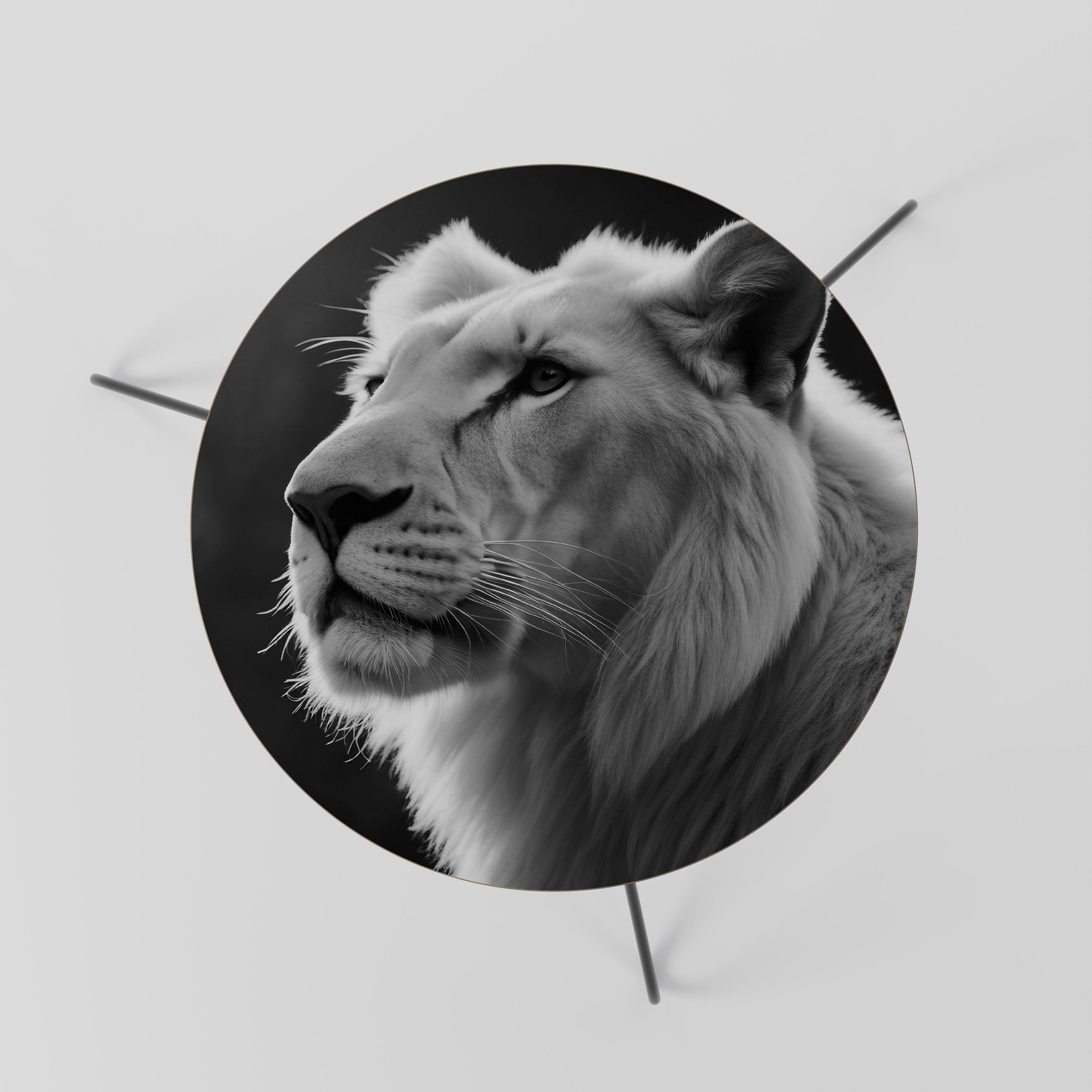 Table basse WHISPERS OF MAJESTY 60