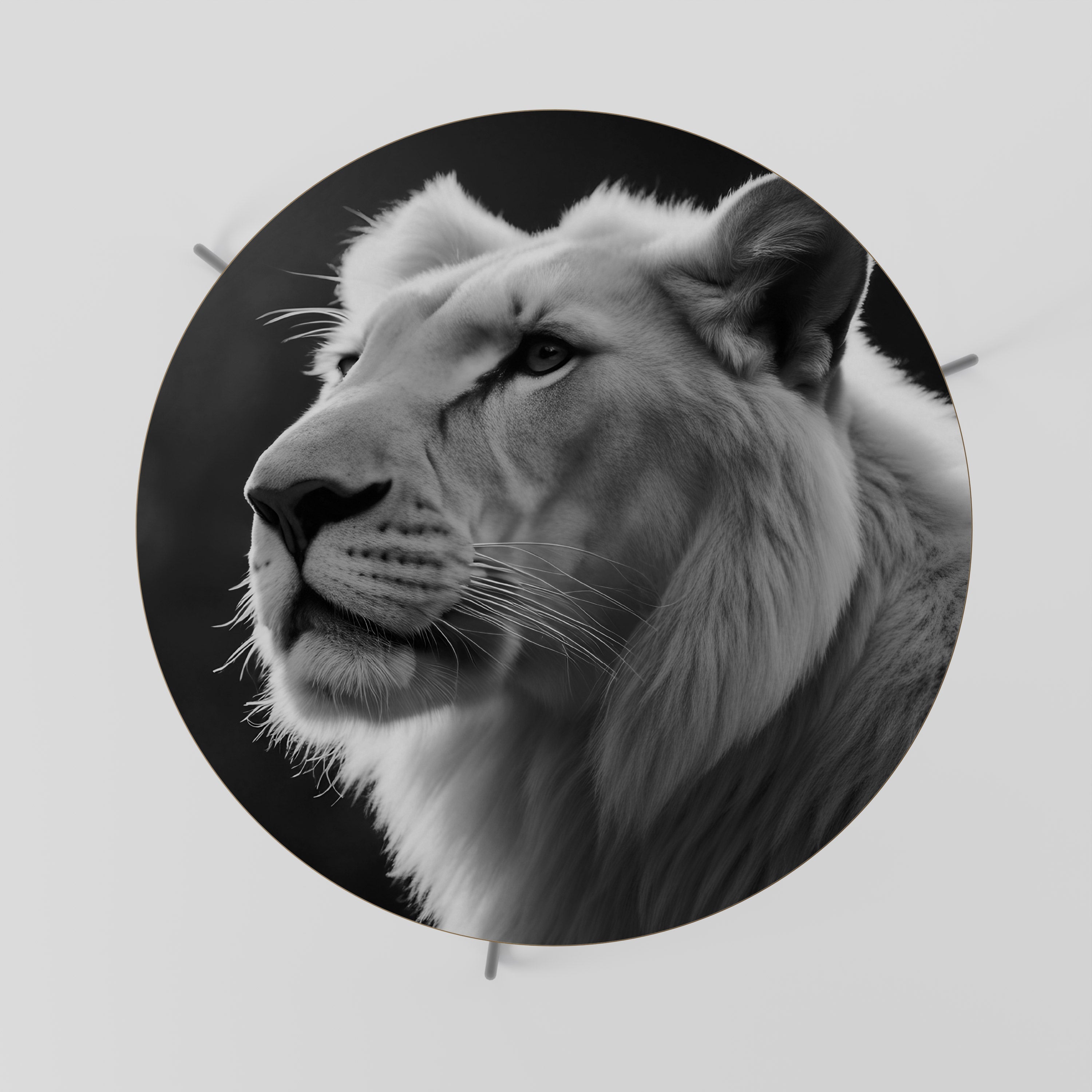 Table basse WHISPERS OF MAJESTY 69