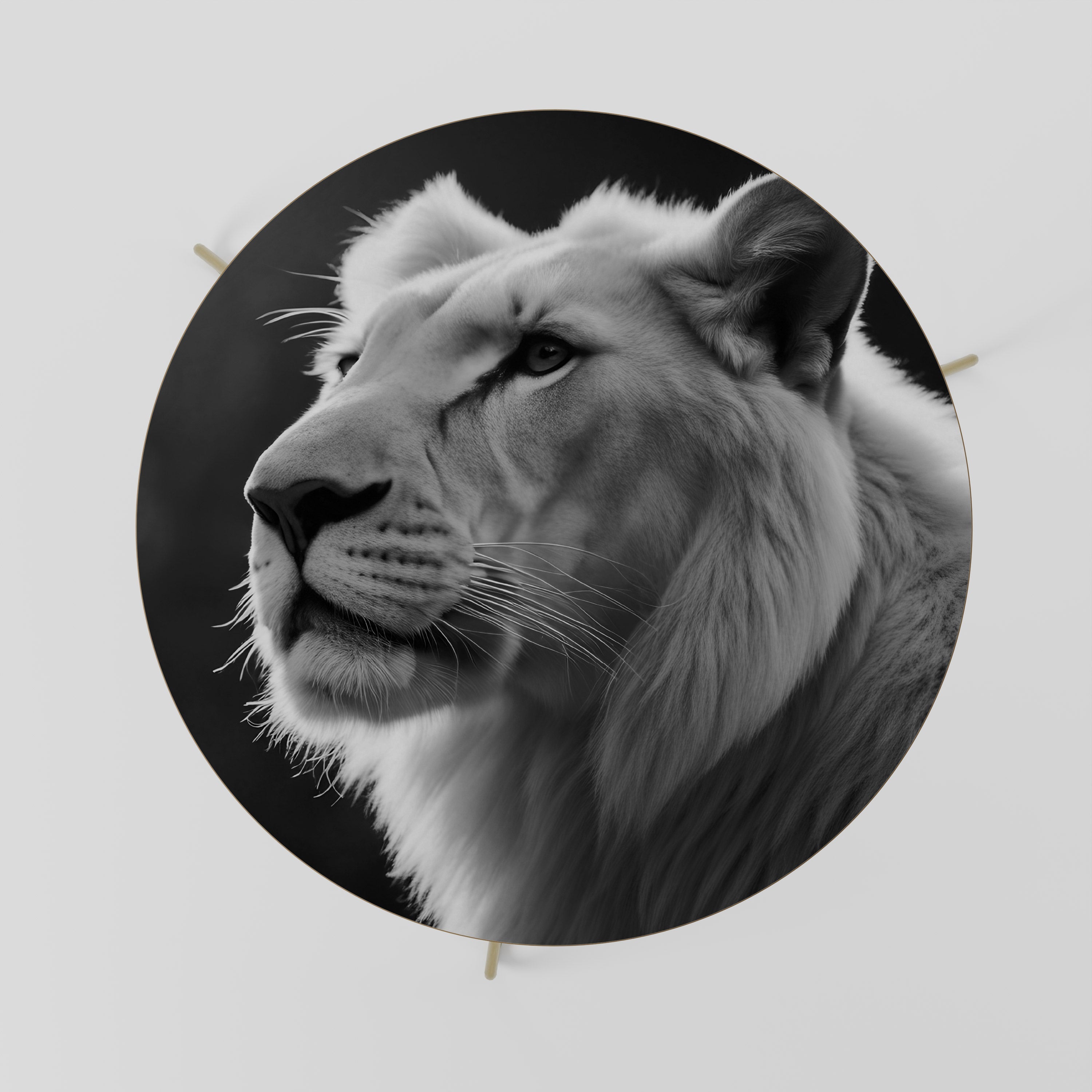 Table basse WHISPERS OF MAJESTY 69