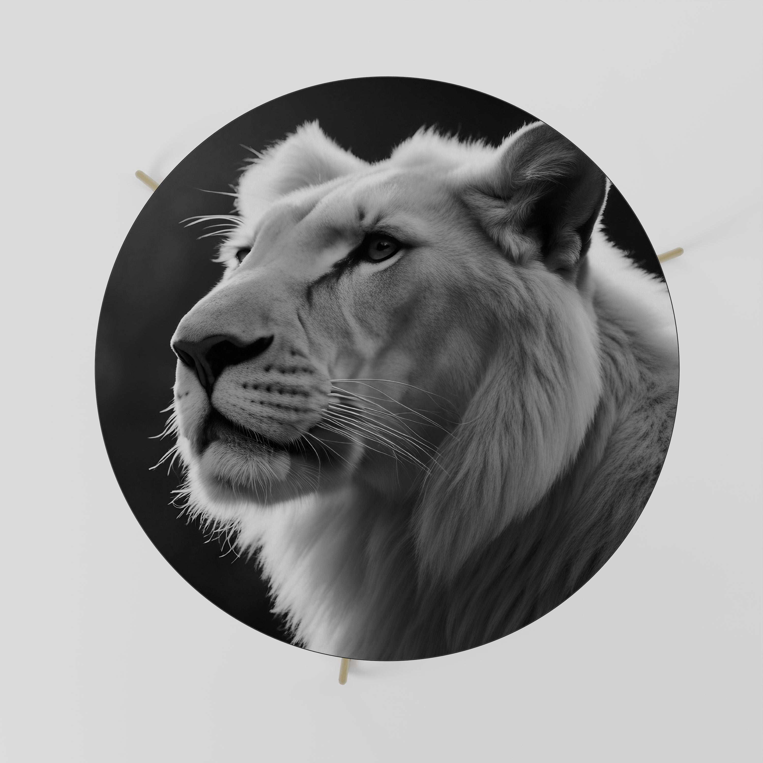 Table basse WHISPERS OF MAJESTY 69