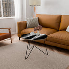 WINDOW TO WONDERS Coffee Table