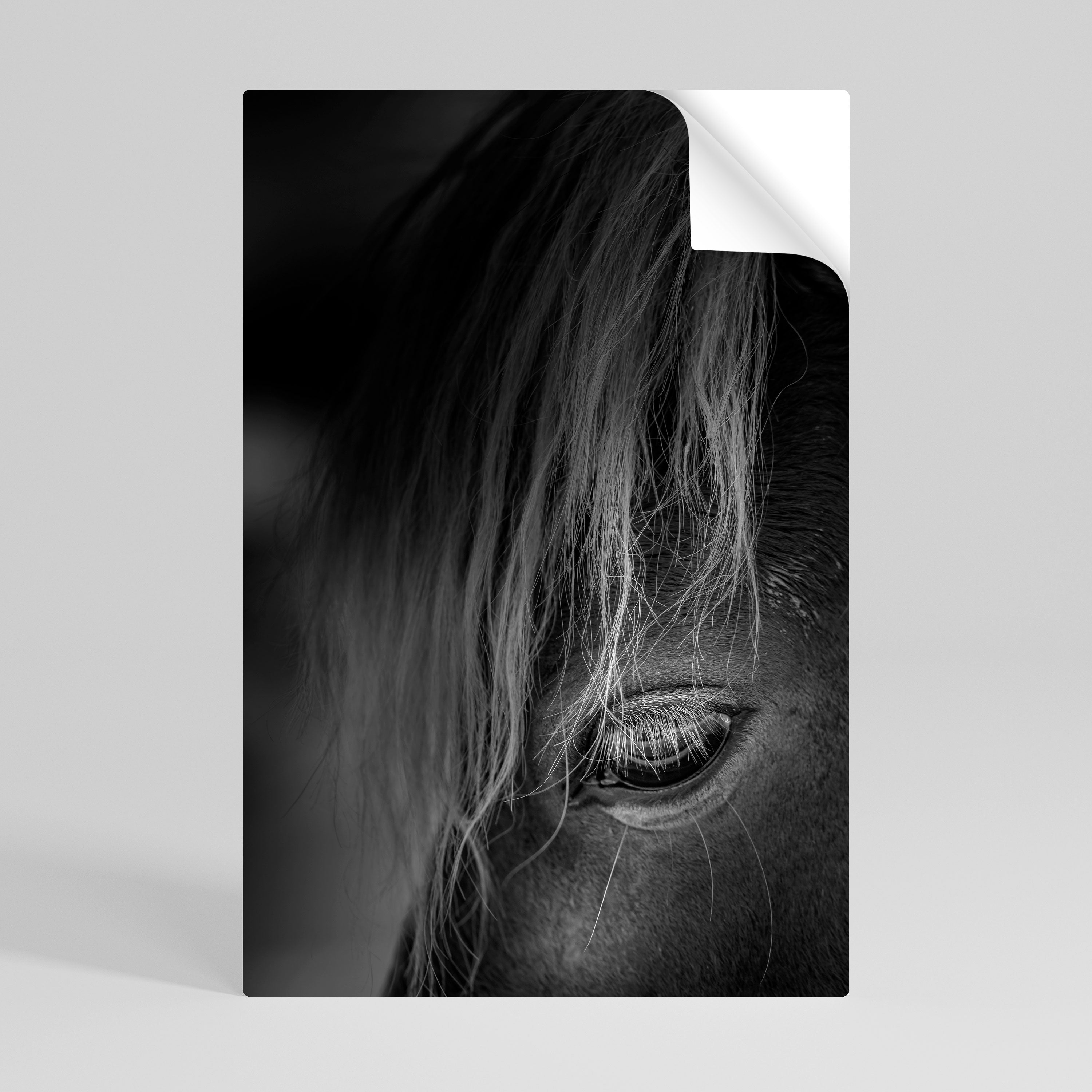 SILENT STRENGTH Peel and Stick Vertical Poster