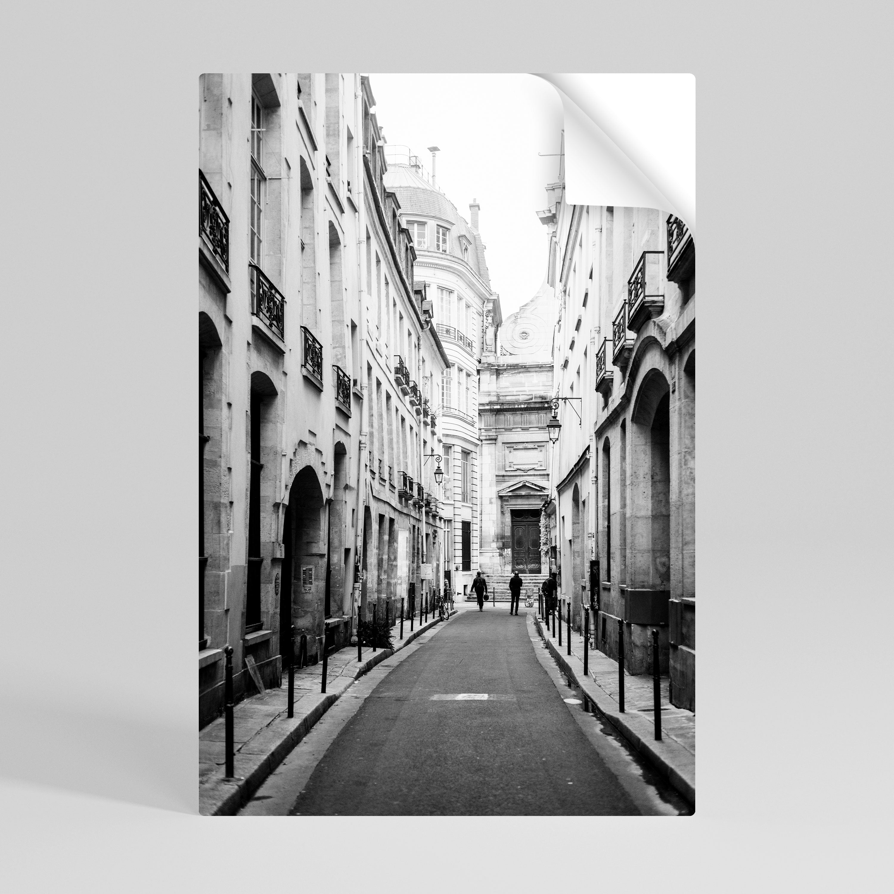 Affiche verticale autocollante « LES CHEMINS SECRETS DÉVOILÉS »