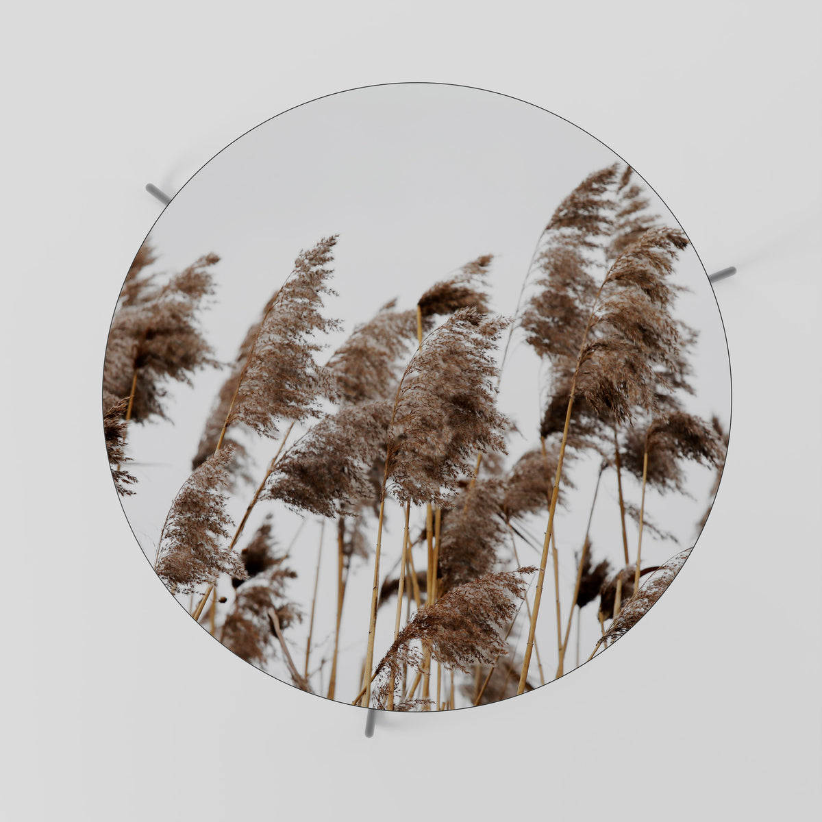DANCE OF REEDS Coffee Table