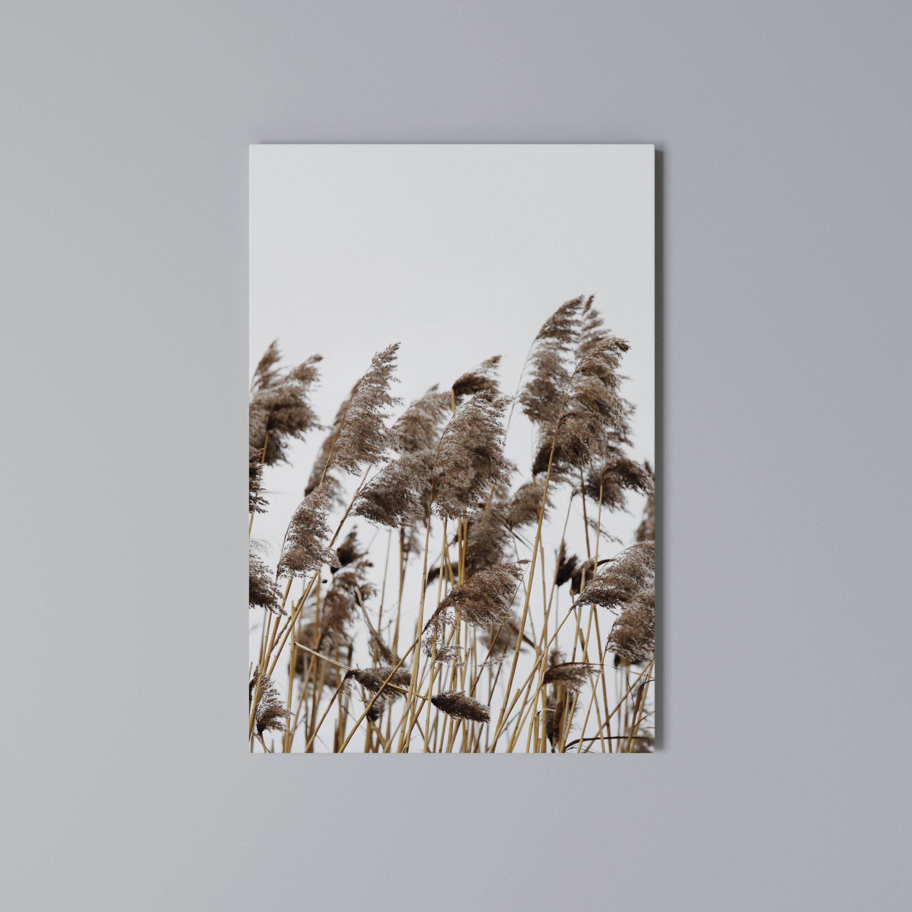 DANCE OF REEDS Vertical Canvas Print