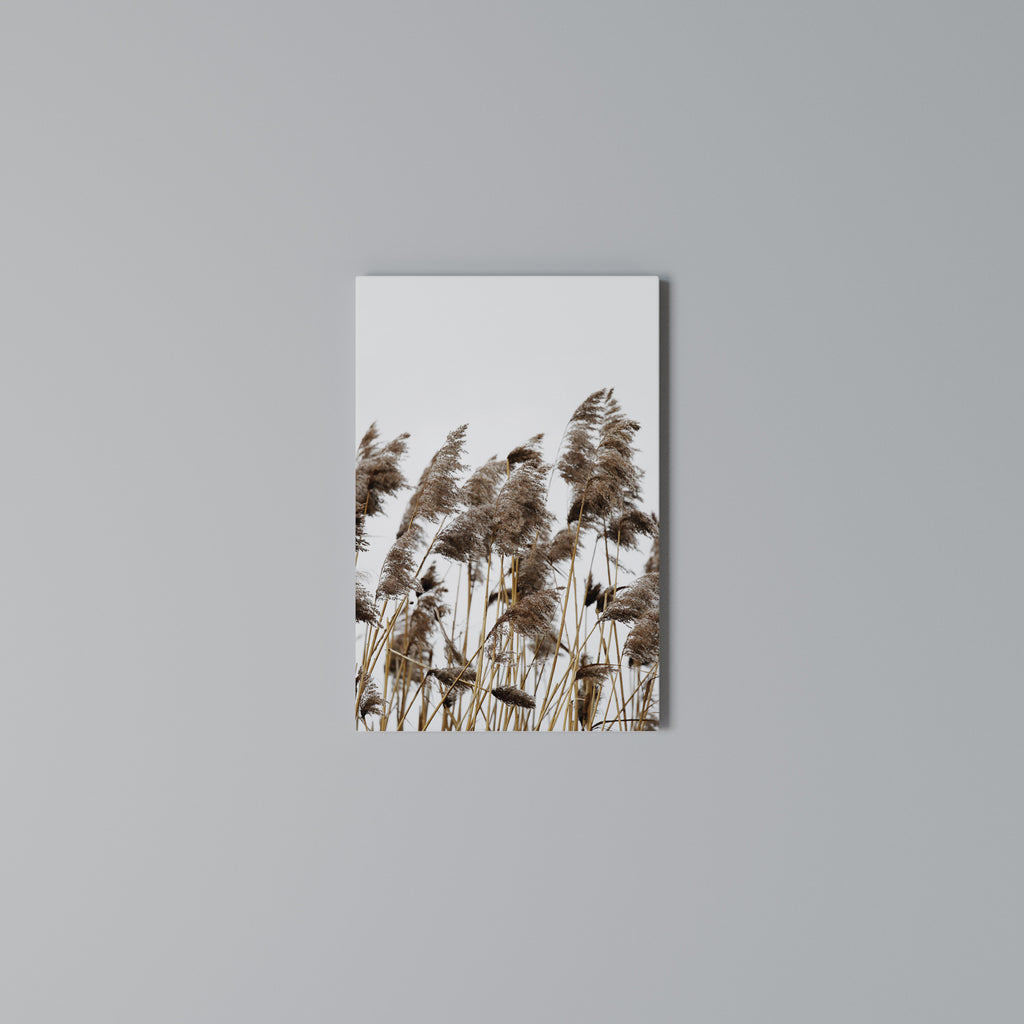 DANCE OF REEDS Vertical Canvas Print