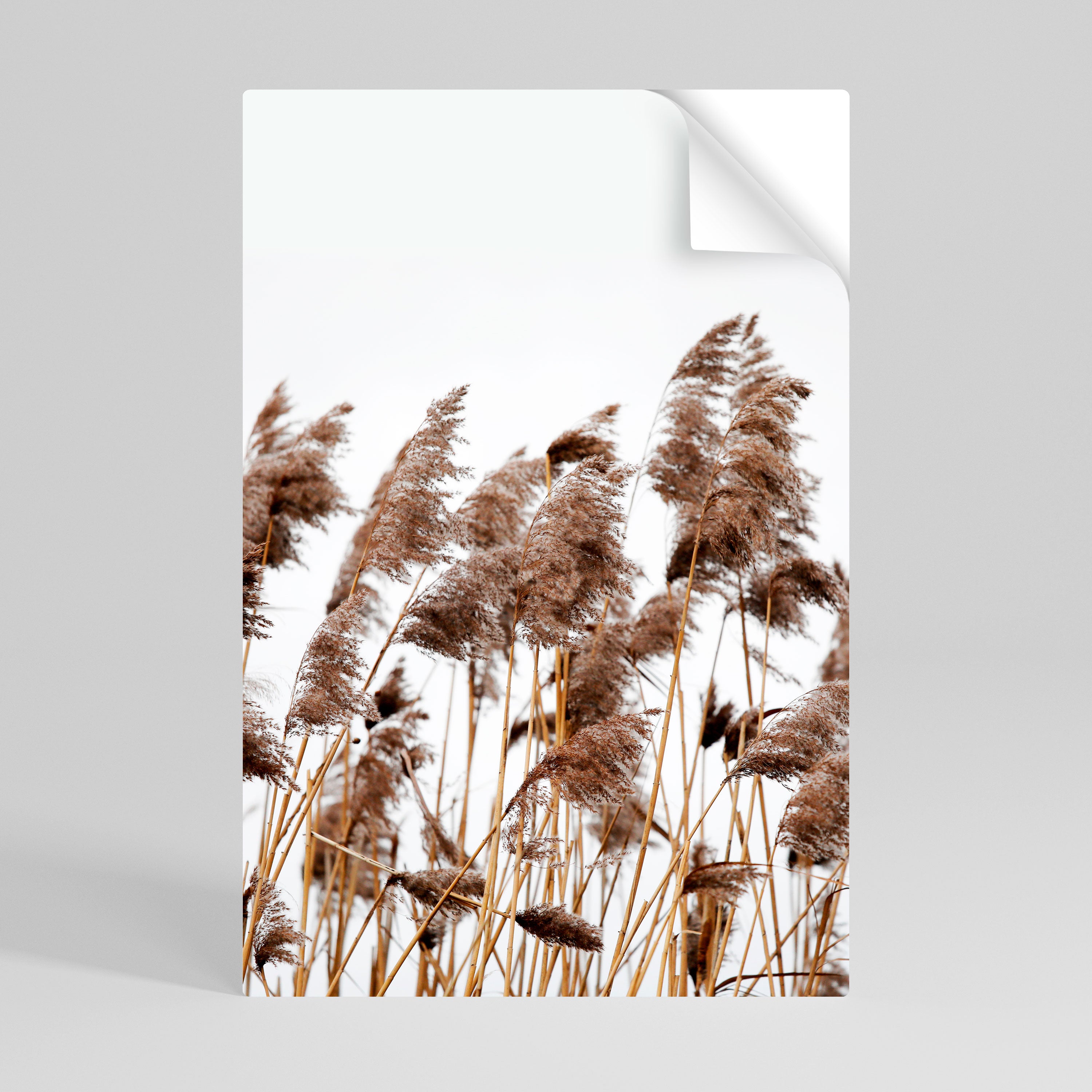 DANCE OF REEDS Peel and Stick Vertical Poster