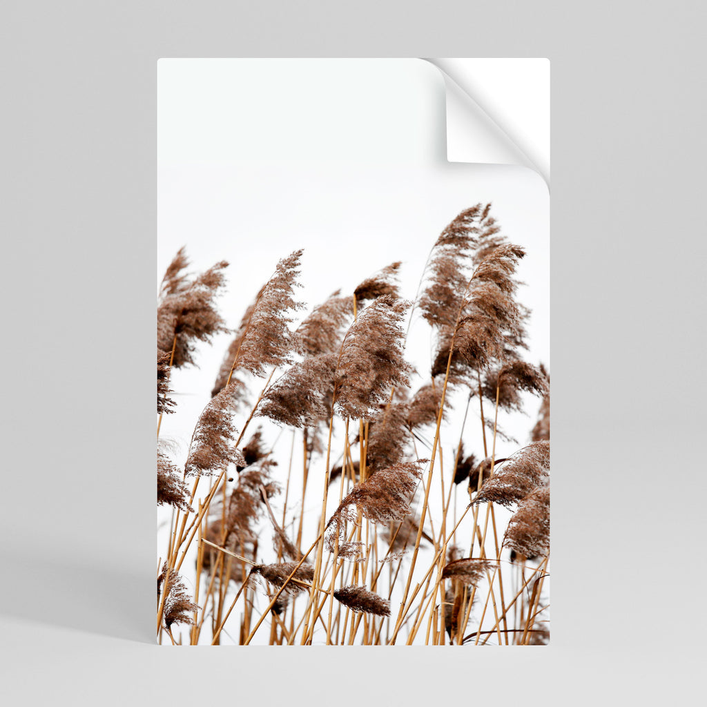 Affiche verticale autocollante « DANCE OF REEDS »