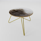 MAMMOTH HOT SPRINGS Coffee Table