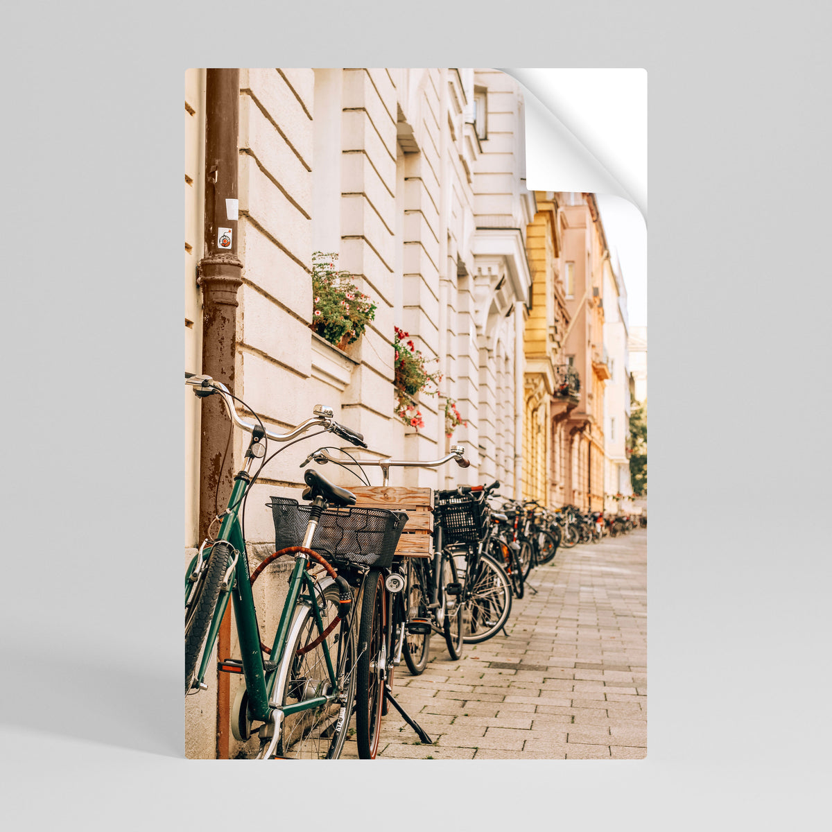 URBAN CYCLE HAVEN Peel and Stick Vertical Poster
