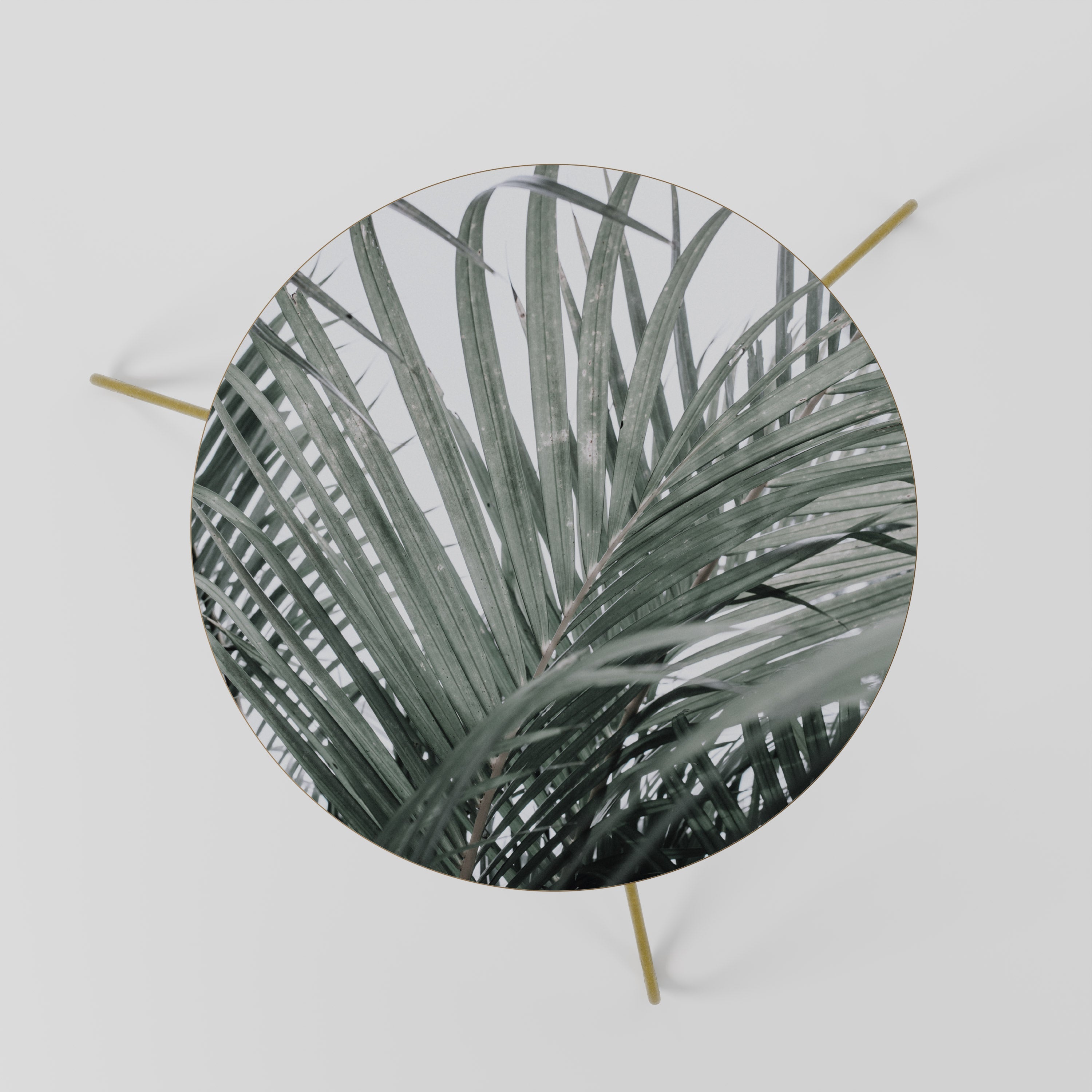 Table basse PALM WHISPERS 60