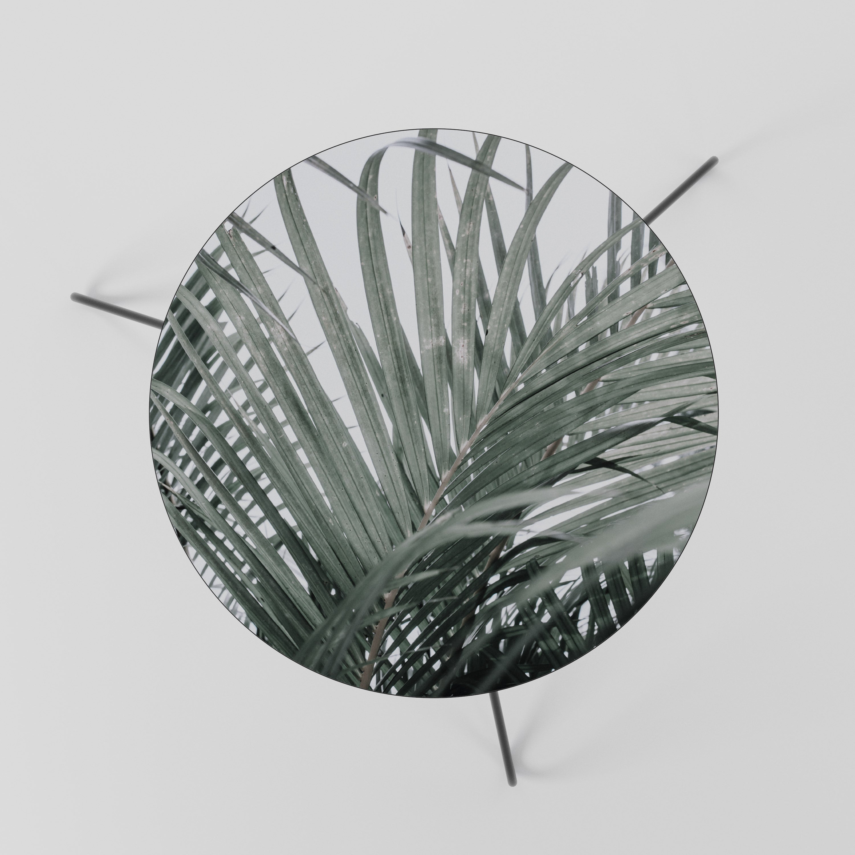 Table basse PALM WHISPERS 60