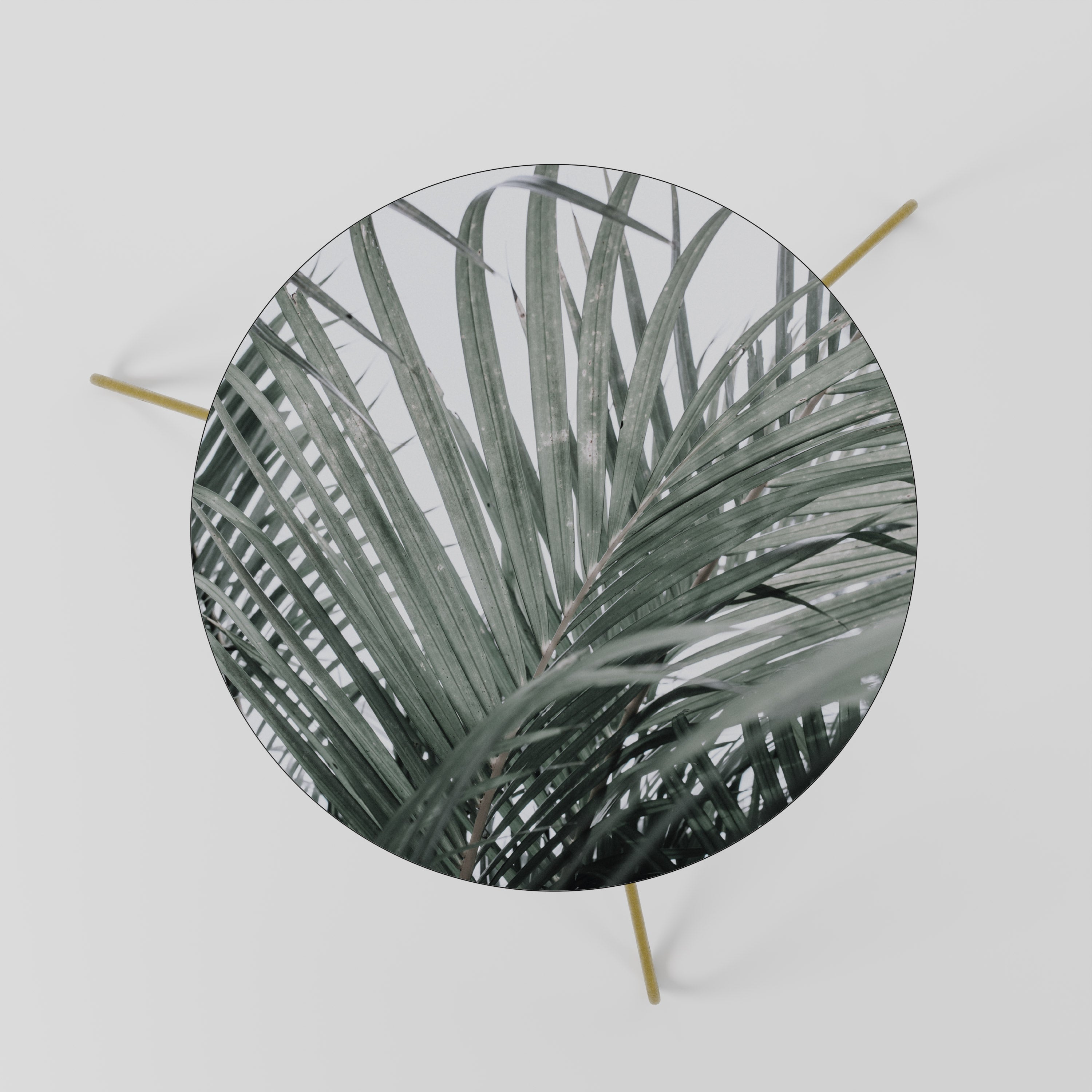 Table basse PALM WHISPERS 60