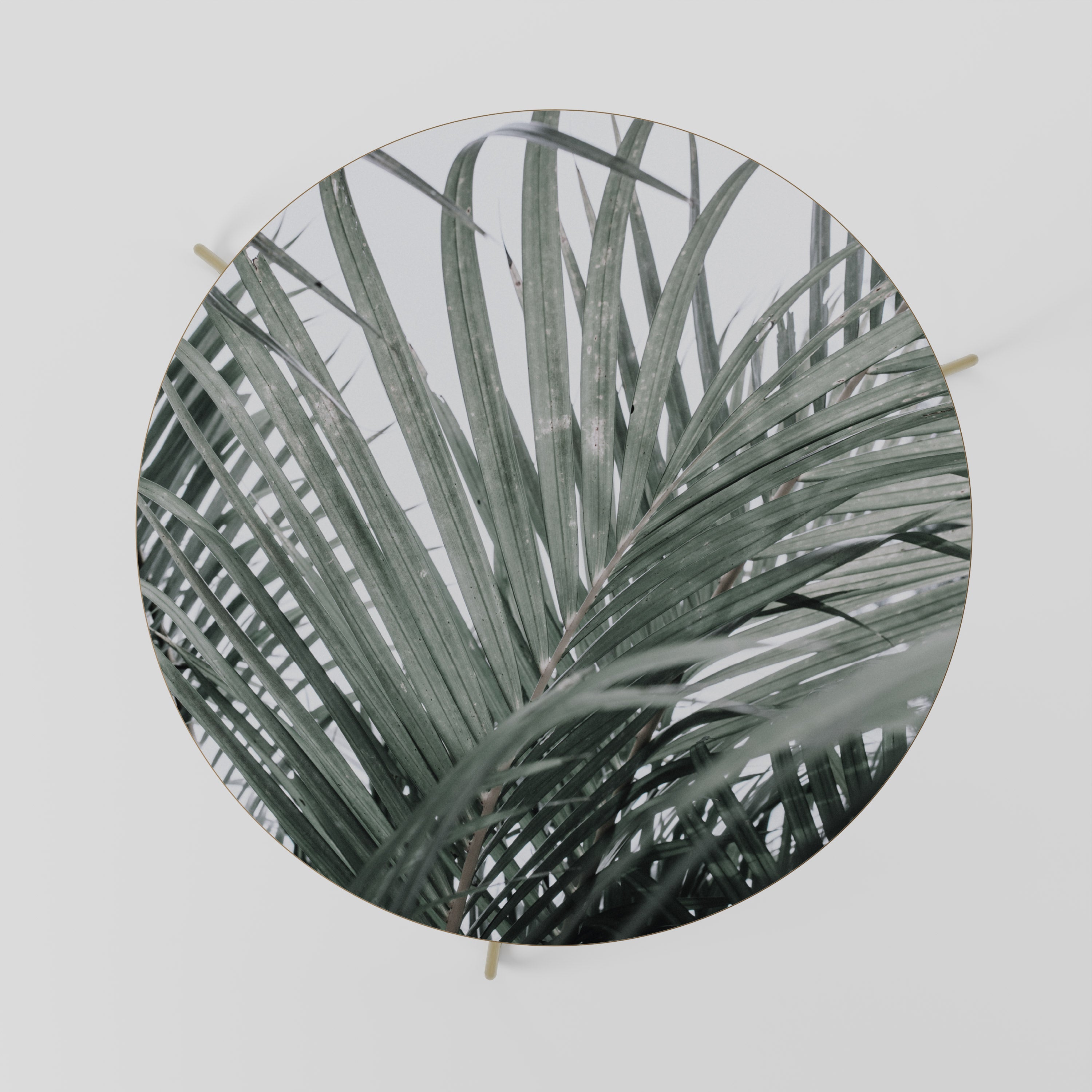 Table basse PALM WHISPERS 69