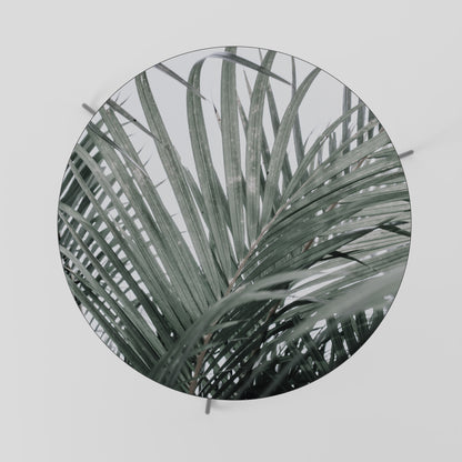 PALM WHISPERS Coffee Table