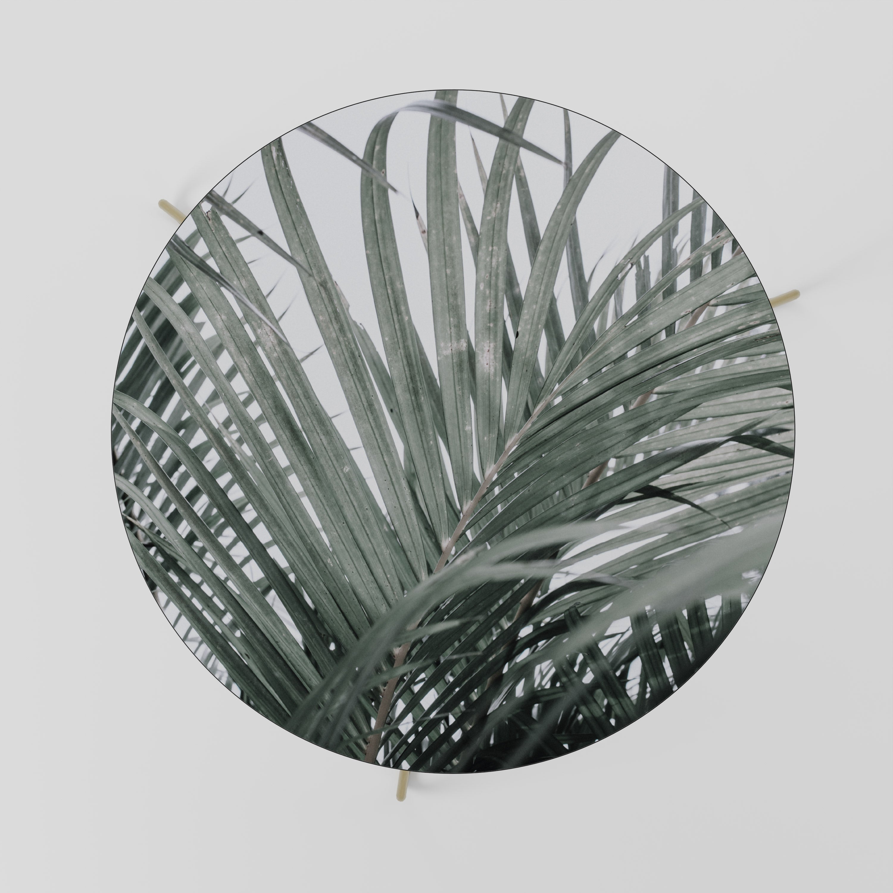 Table basse PALM WHISPERS 69