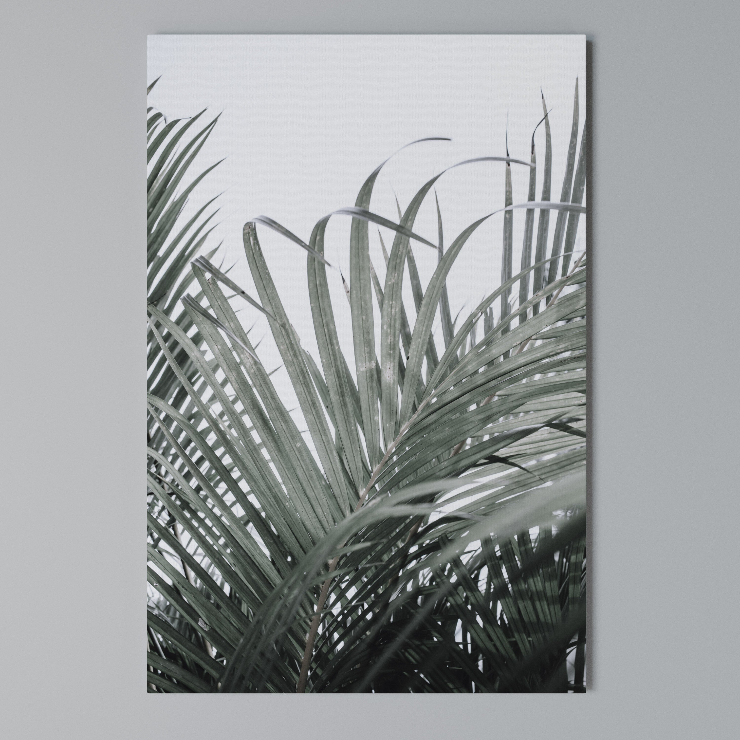 PALM WHISPERS Vertical Canvas Print