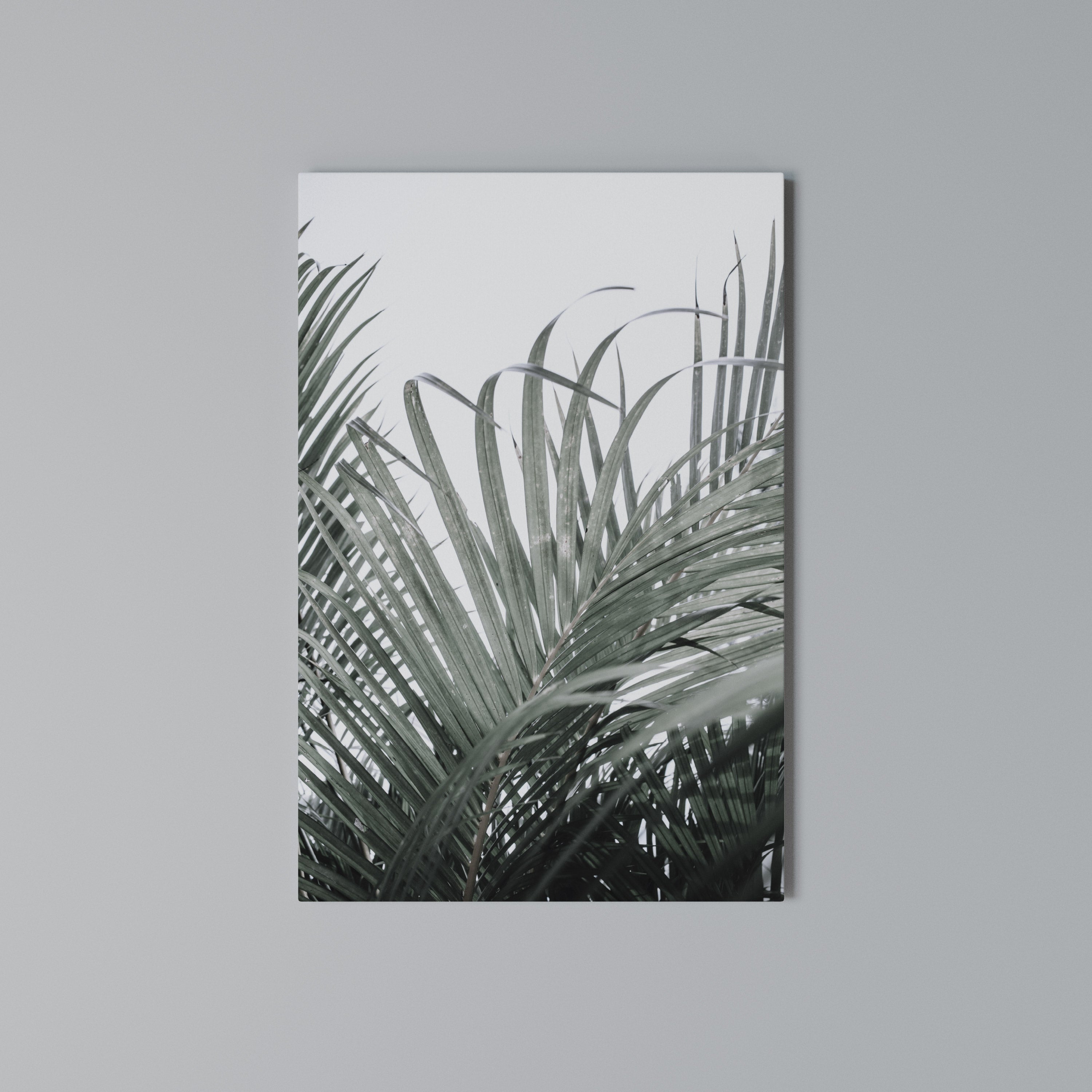 PALM WHISPERS Vertical Canvas Print