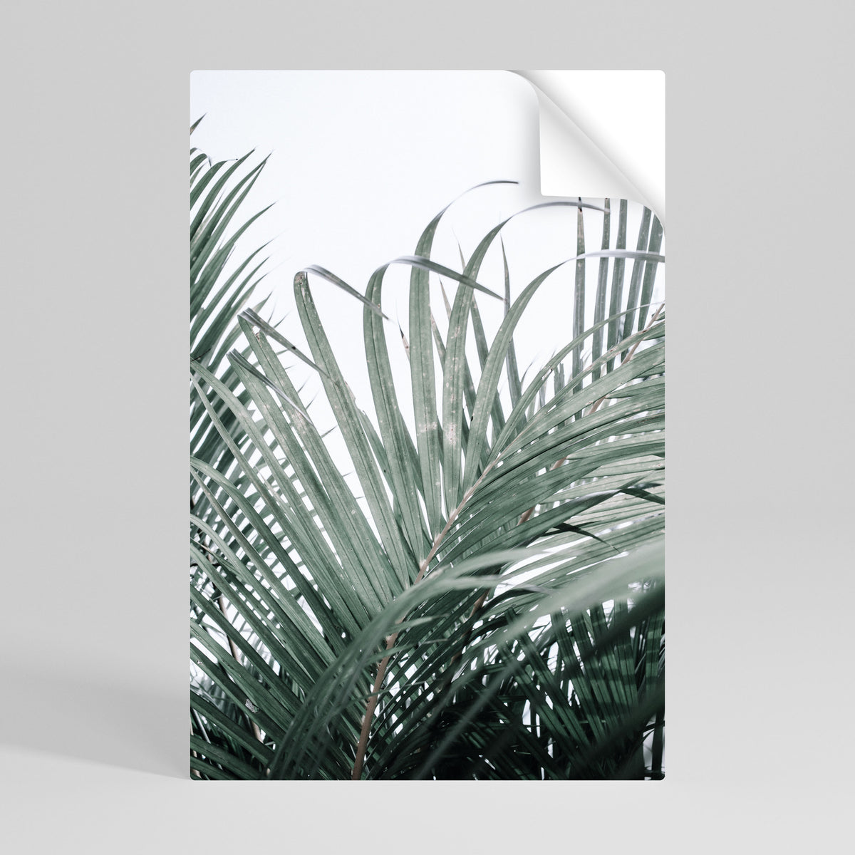 PALM WHISPERS Peel and Stick Vertical Poster