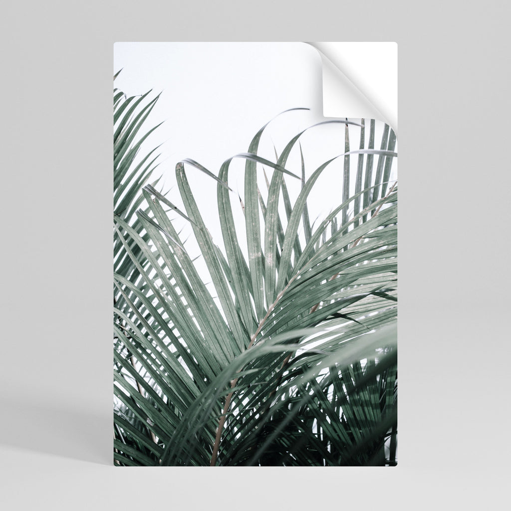 Affiche verticale autocollante Palm Whispers