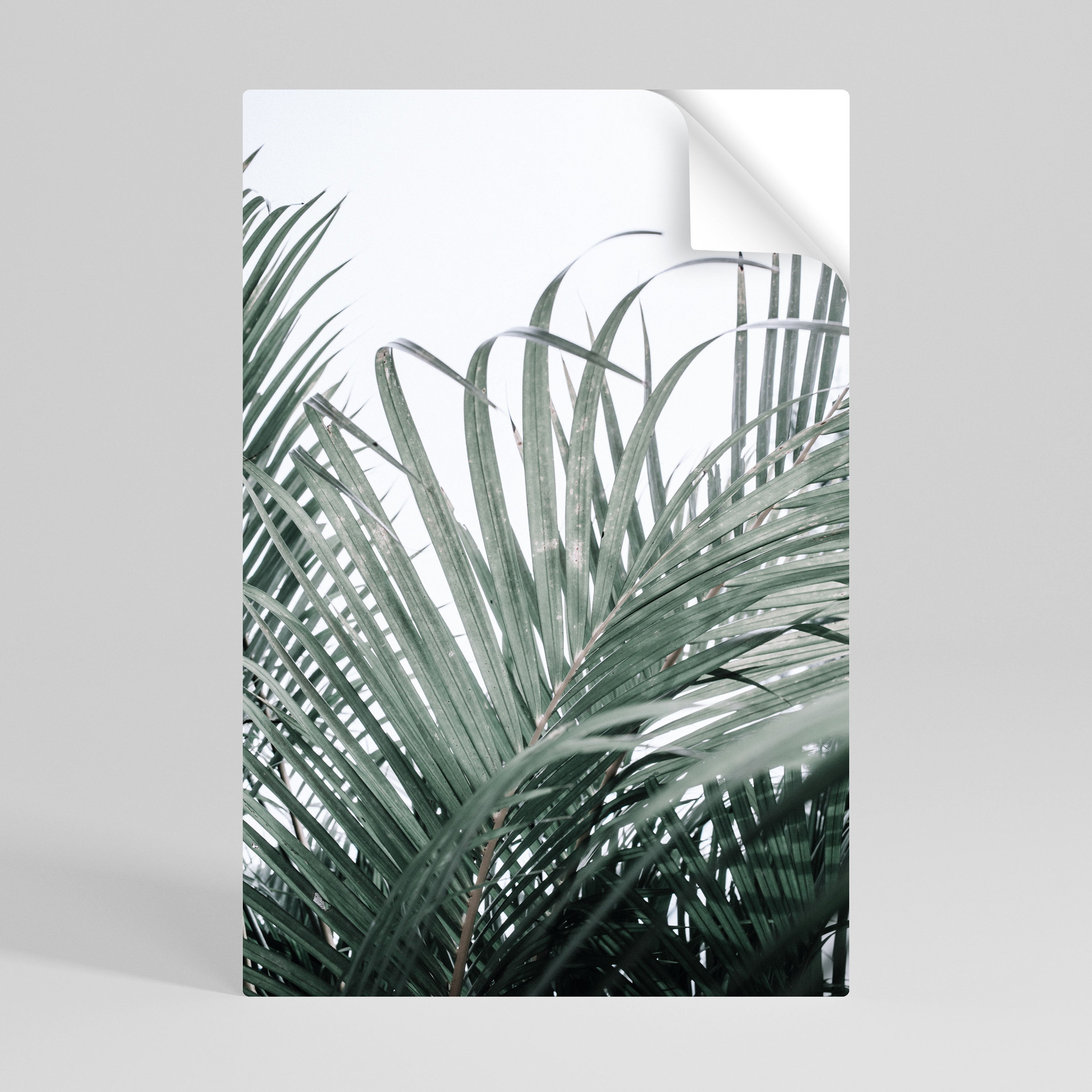 Affiche verticale autocollante Palm Whispers