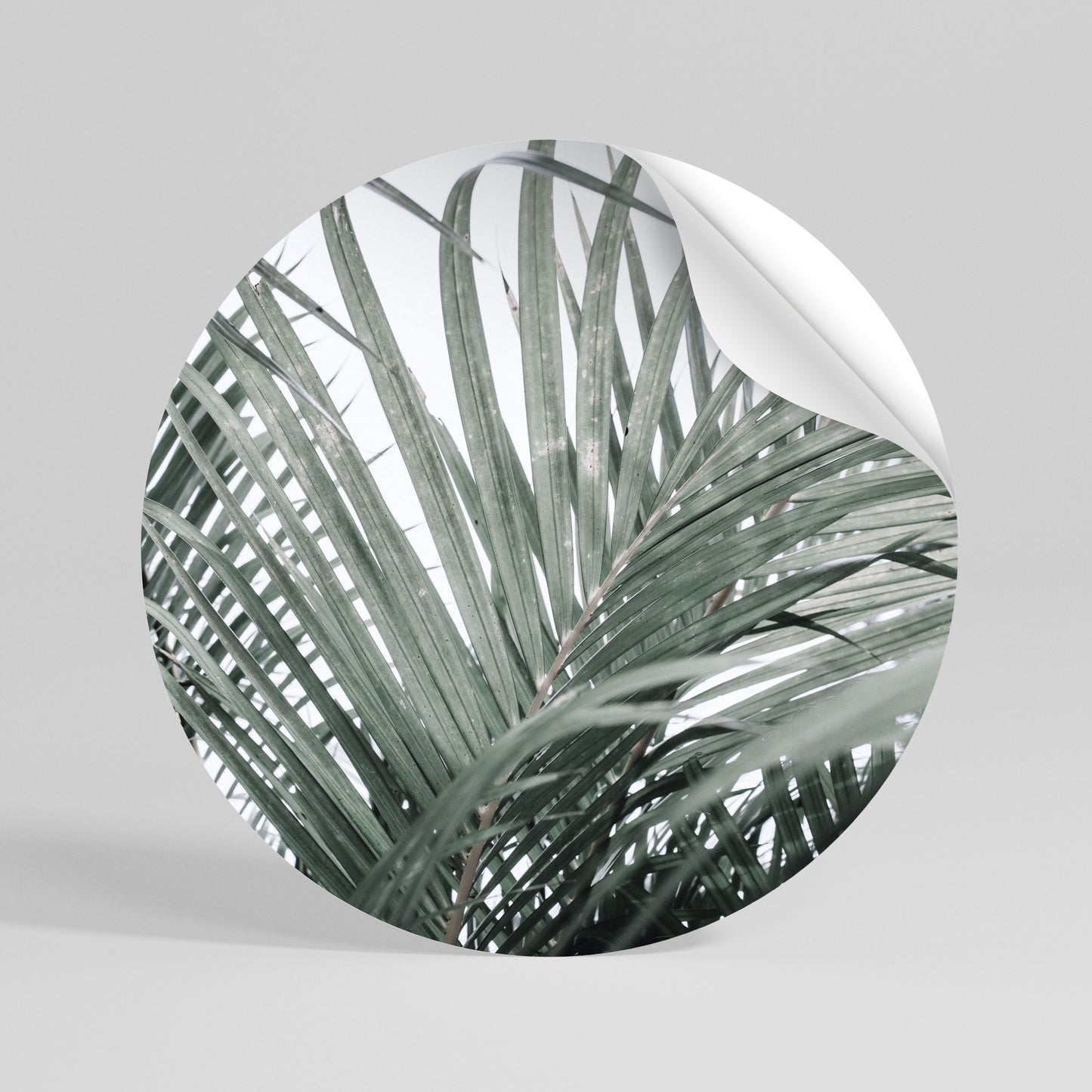 PALM WHISPERS Peel and Stick Round Sticker