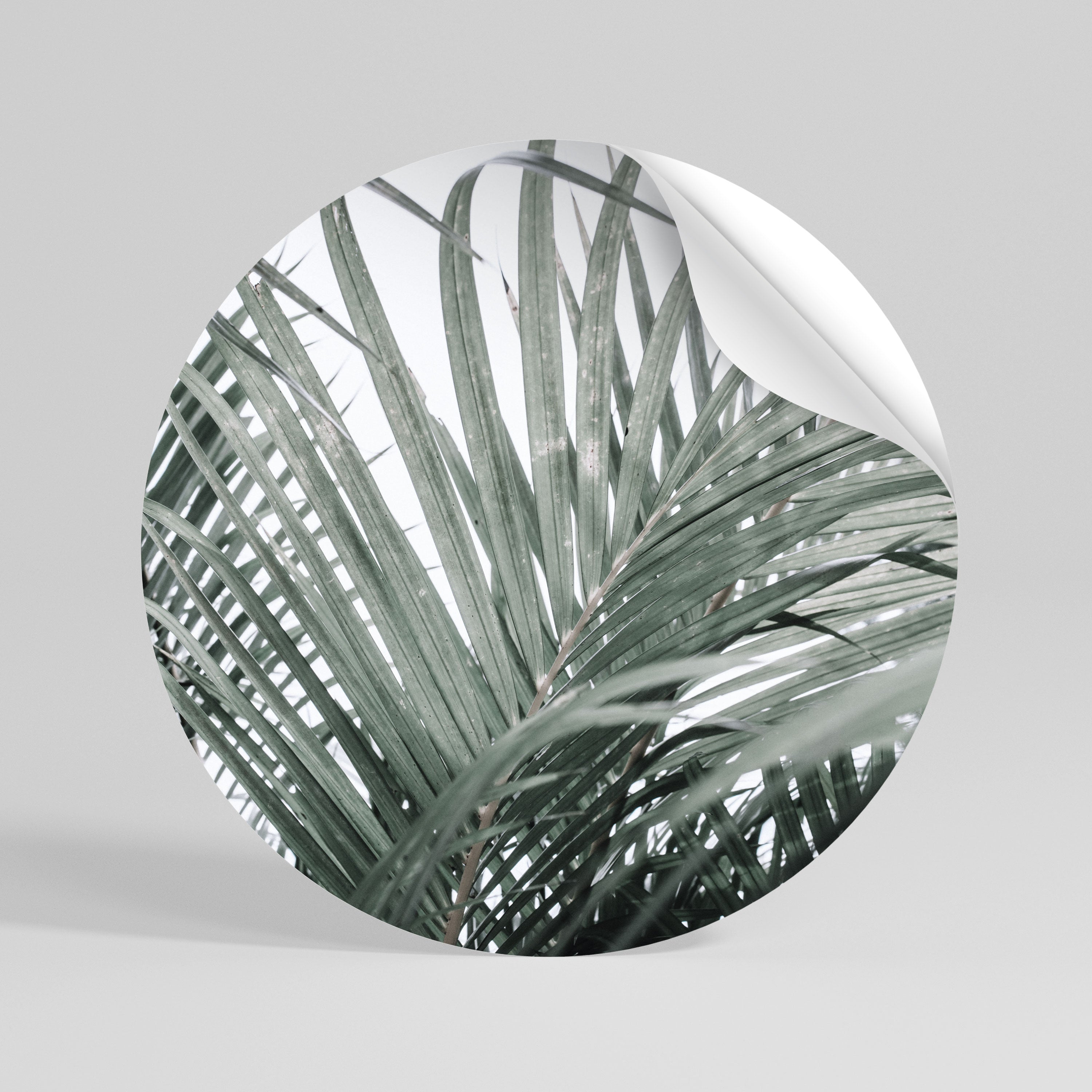 PALM WHISPERS Peel and Stick Round Sticker