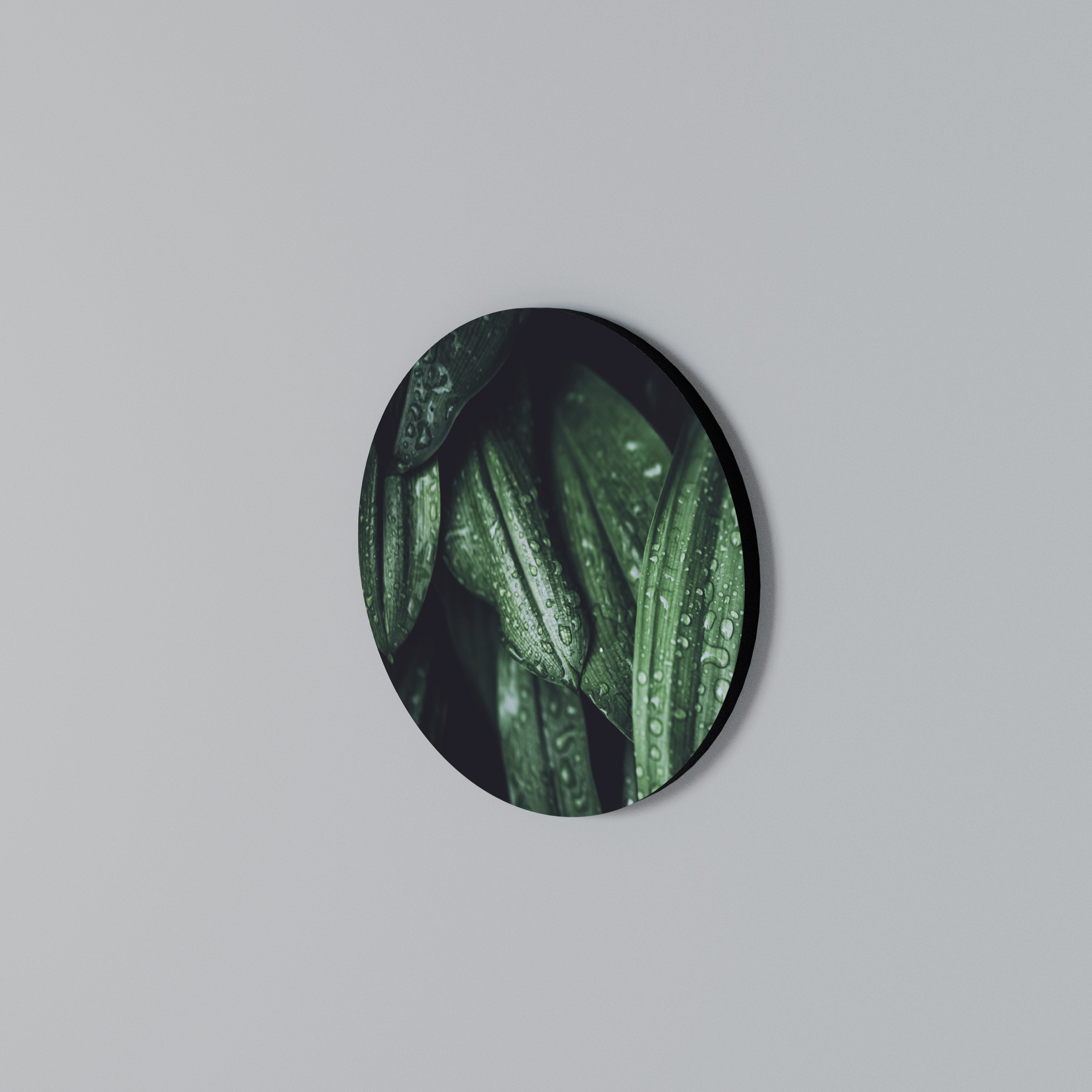 LUSH DROPLET DANCE Round Wall Art